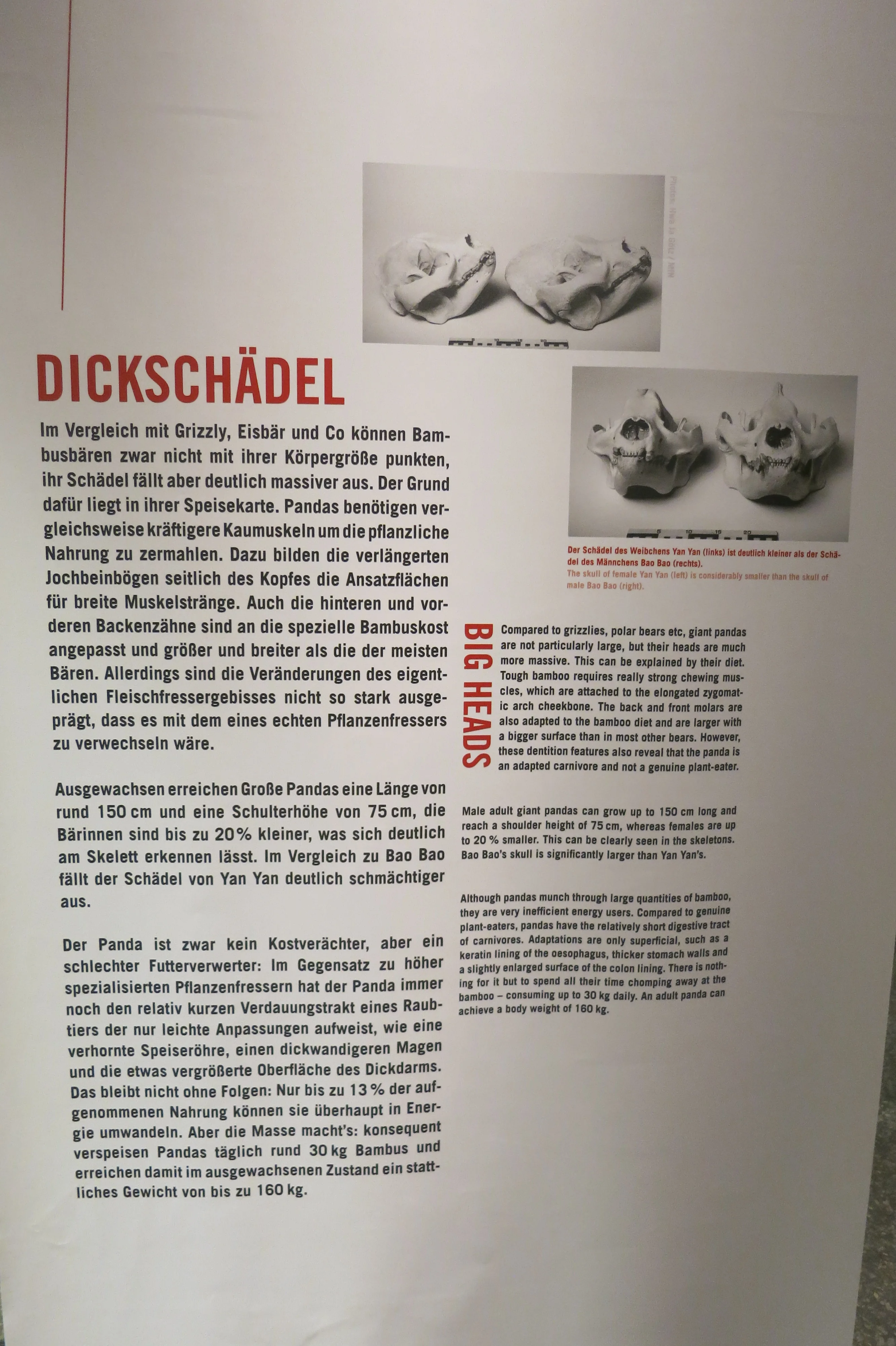 Museum für Naturkunde Berlin