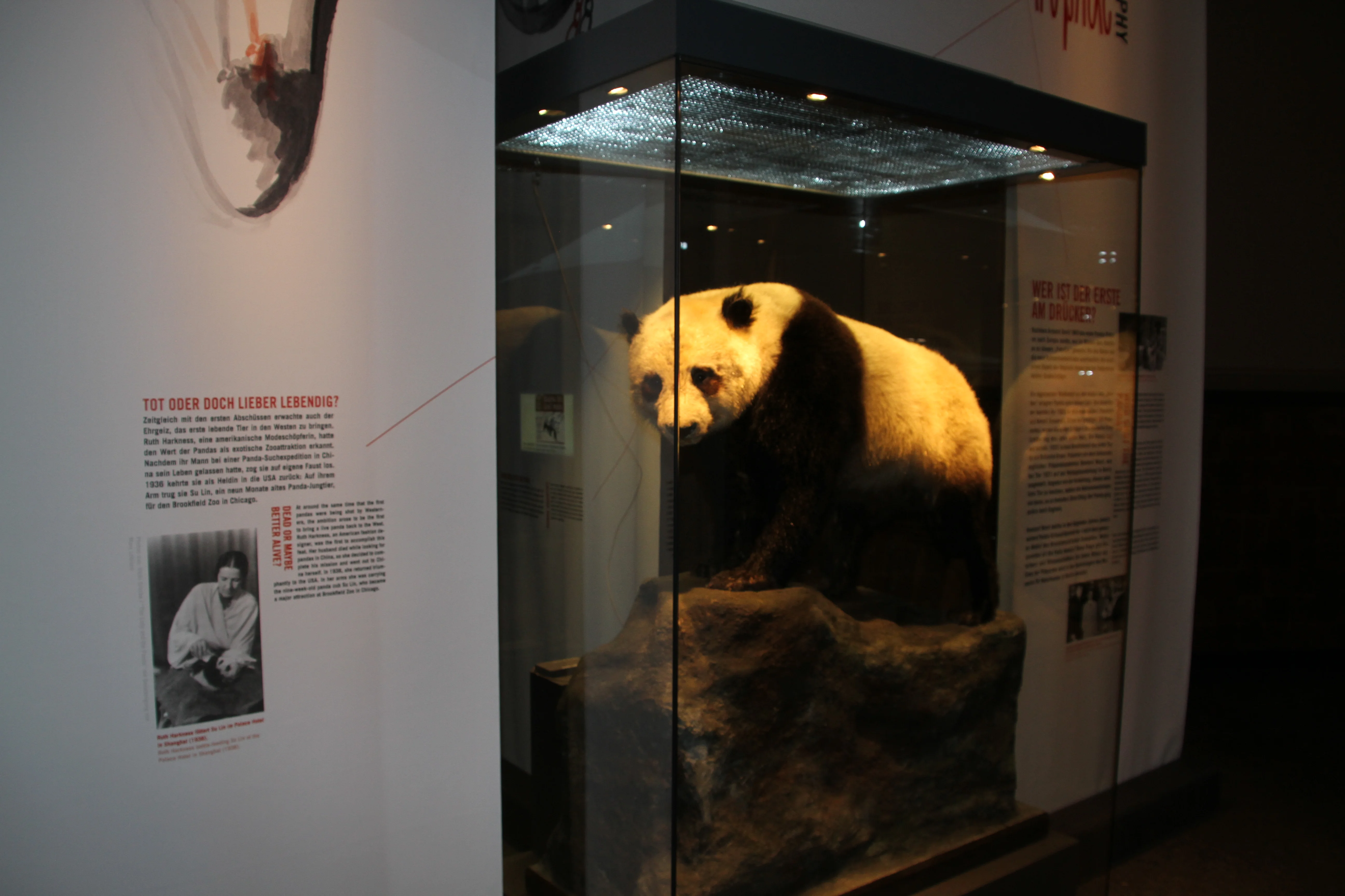 Museum für Naturkunde Berlin