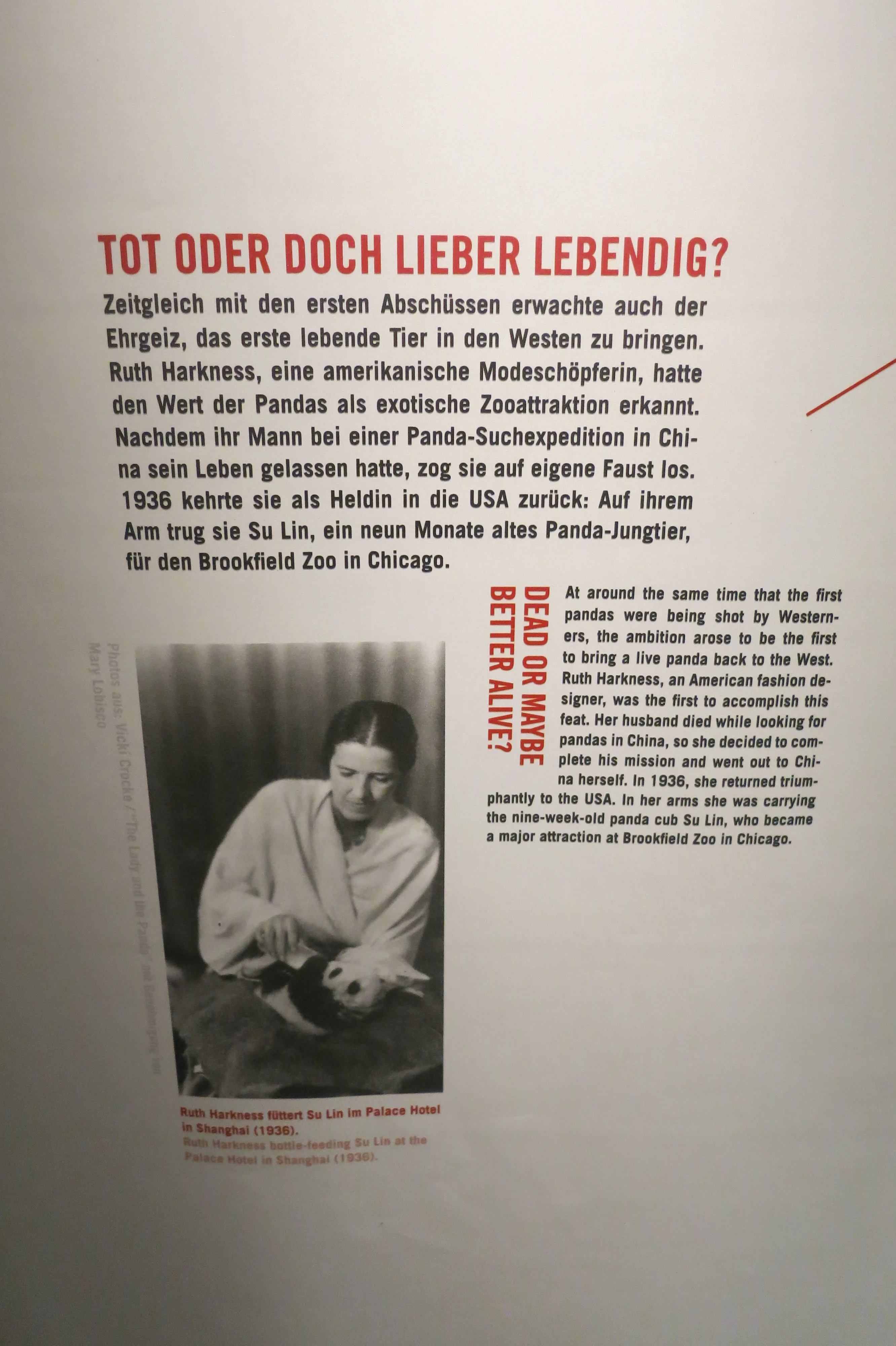 Museum für Naturkunde Berlin