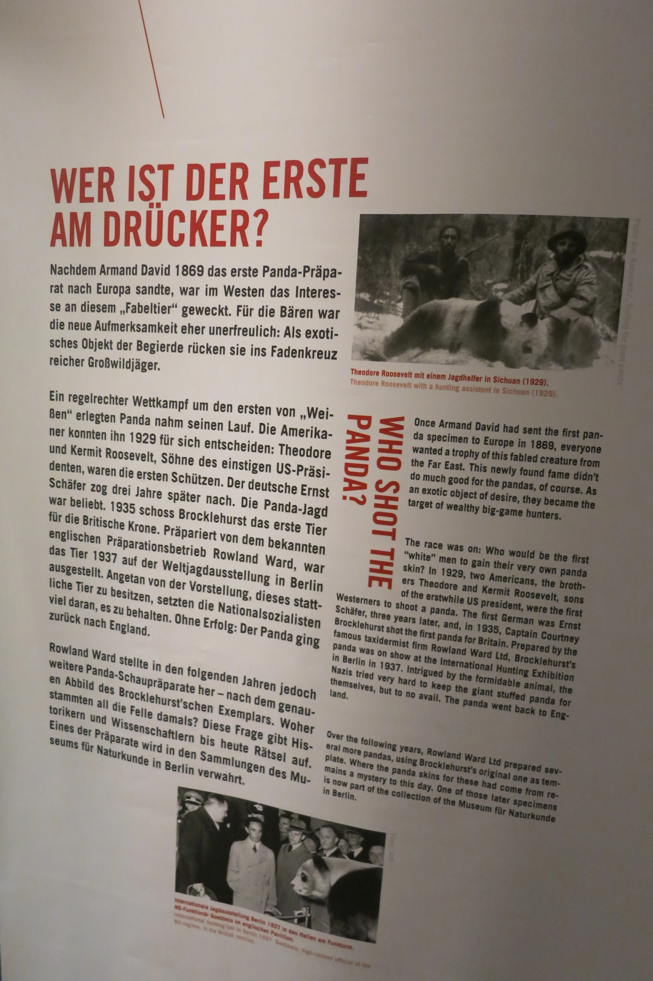 Museum für Naturkunde Berlin