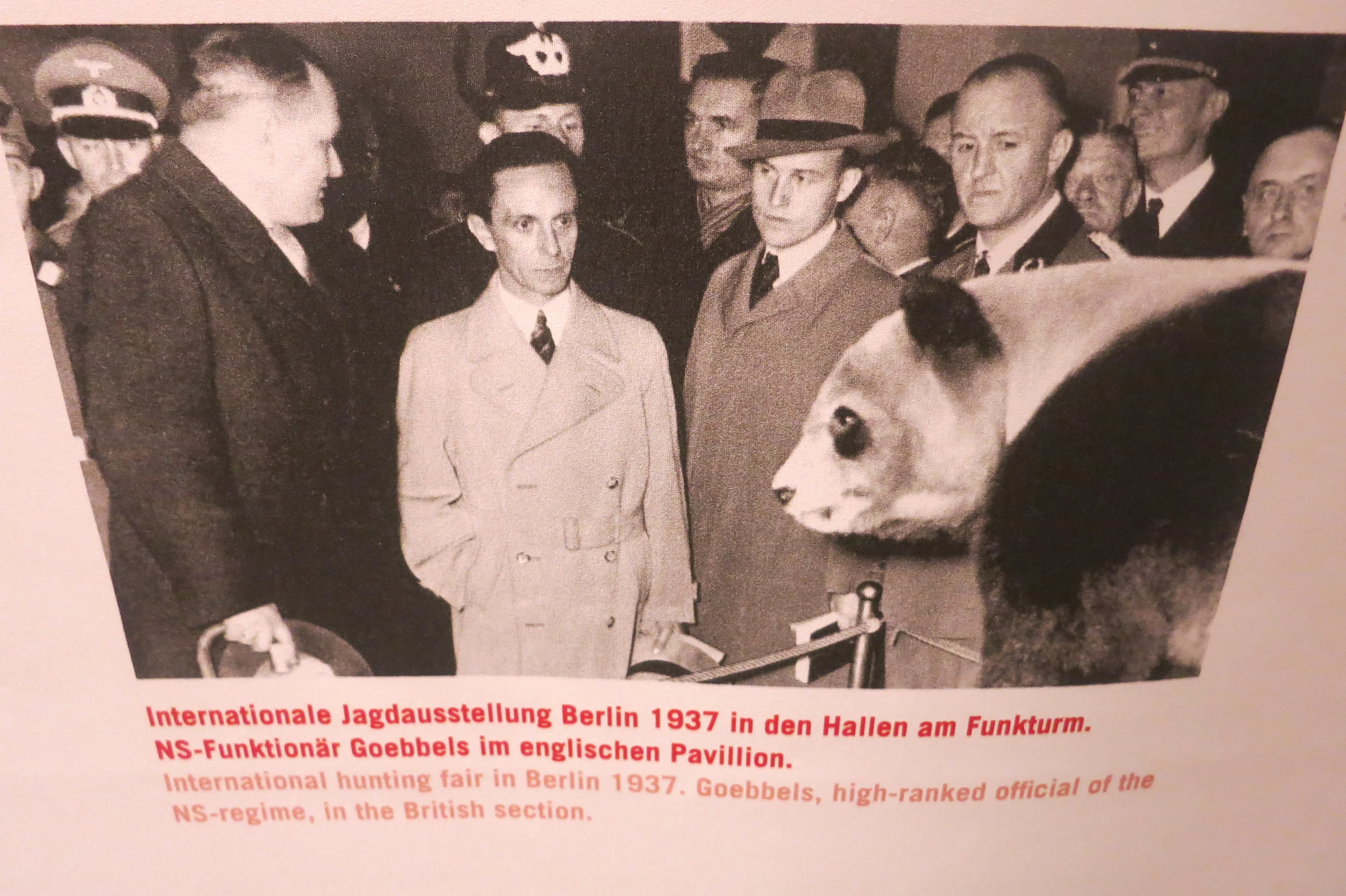 Museum für Naturkunde Berlin