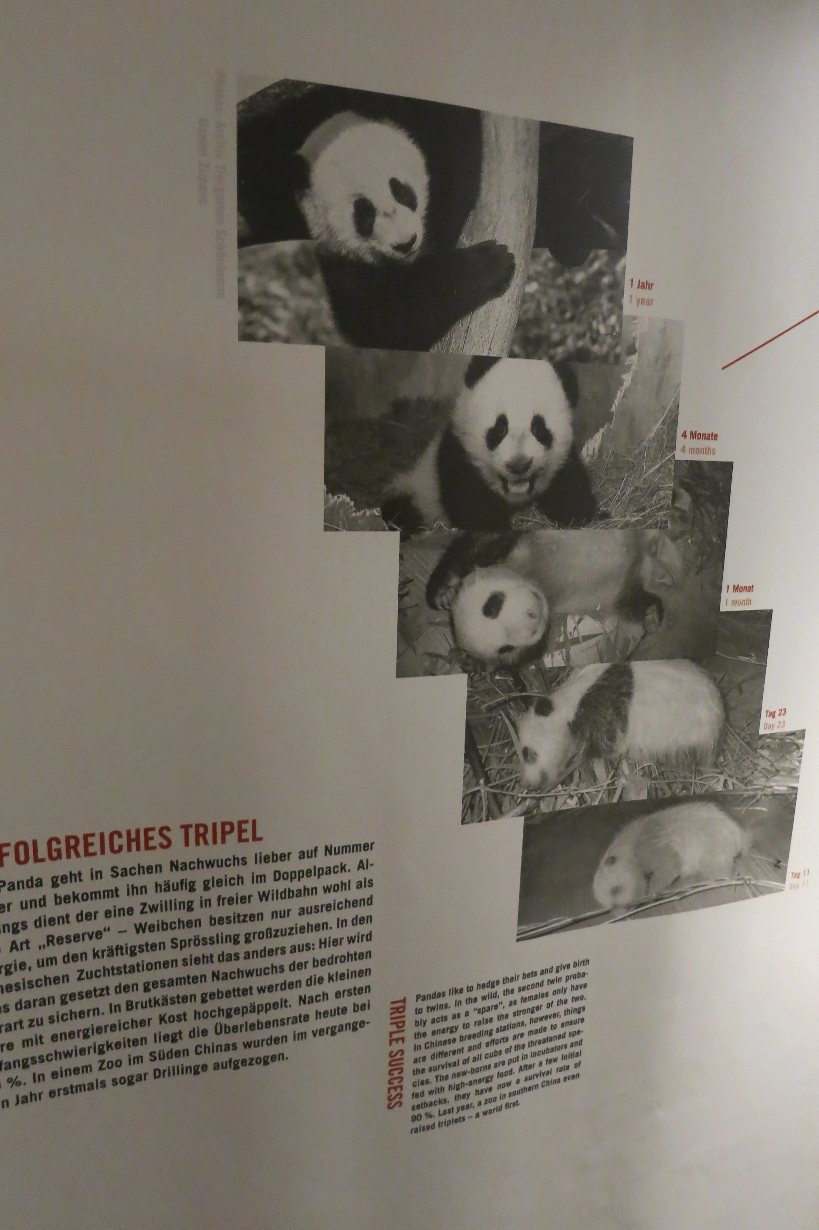 Museum für Naturkunde Berlin
