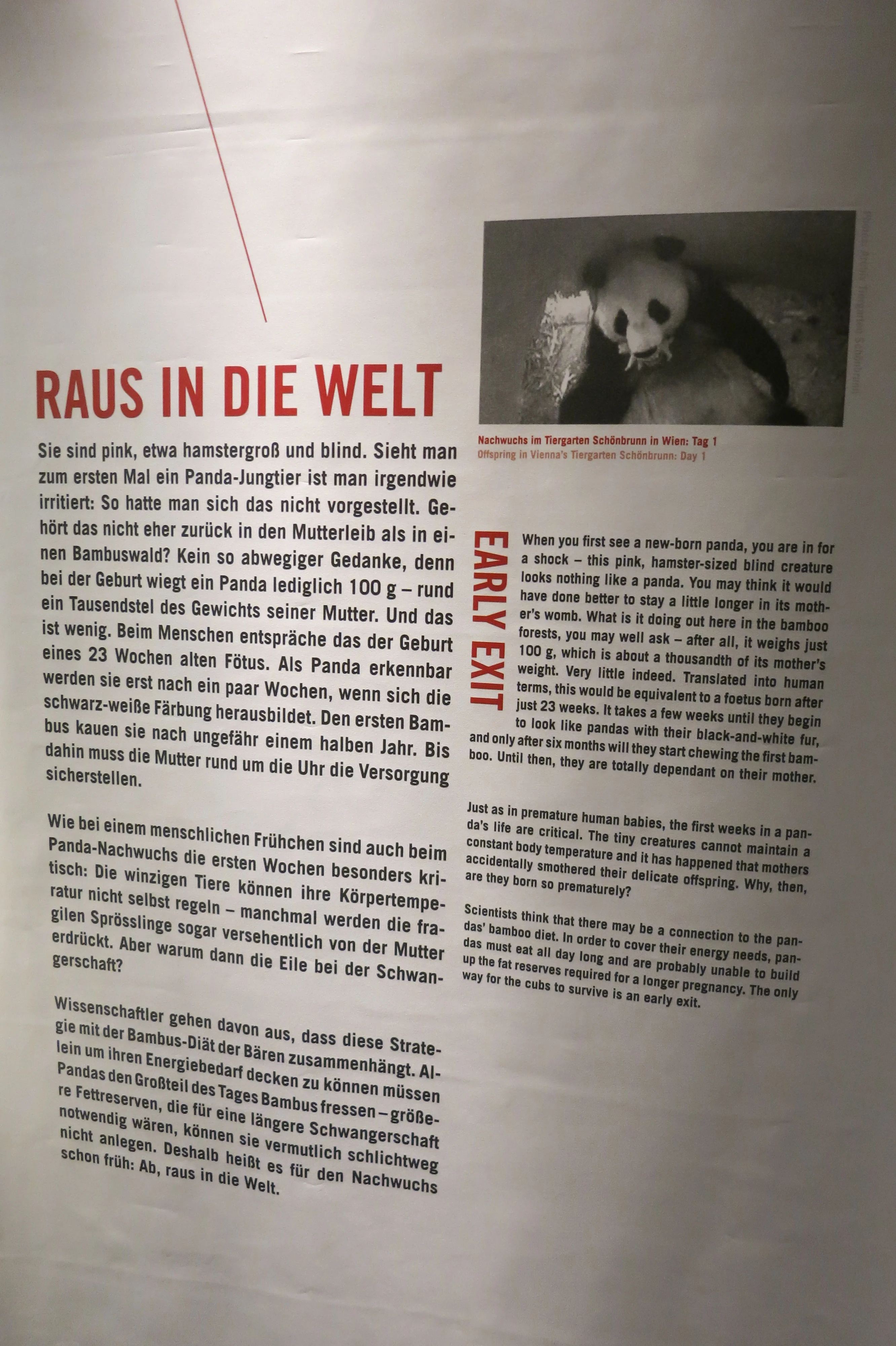 Museum für Naturkunde Berlin