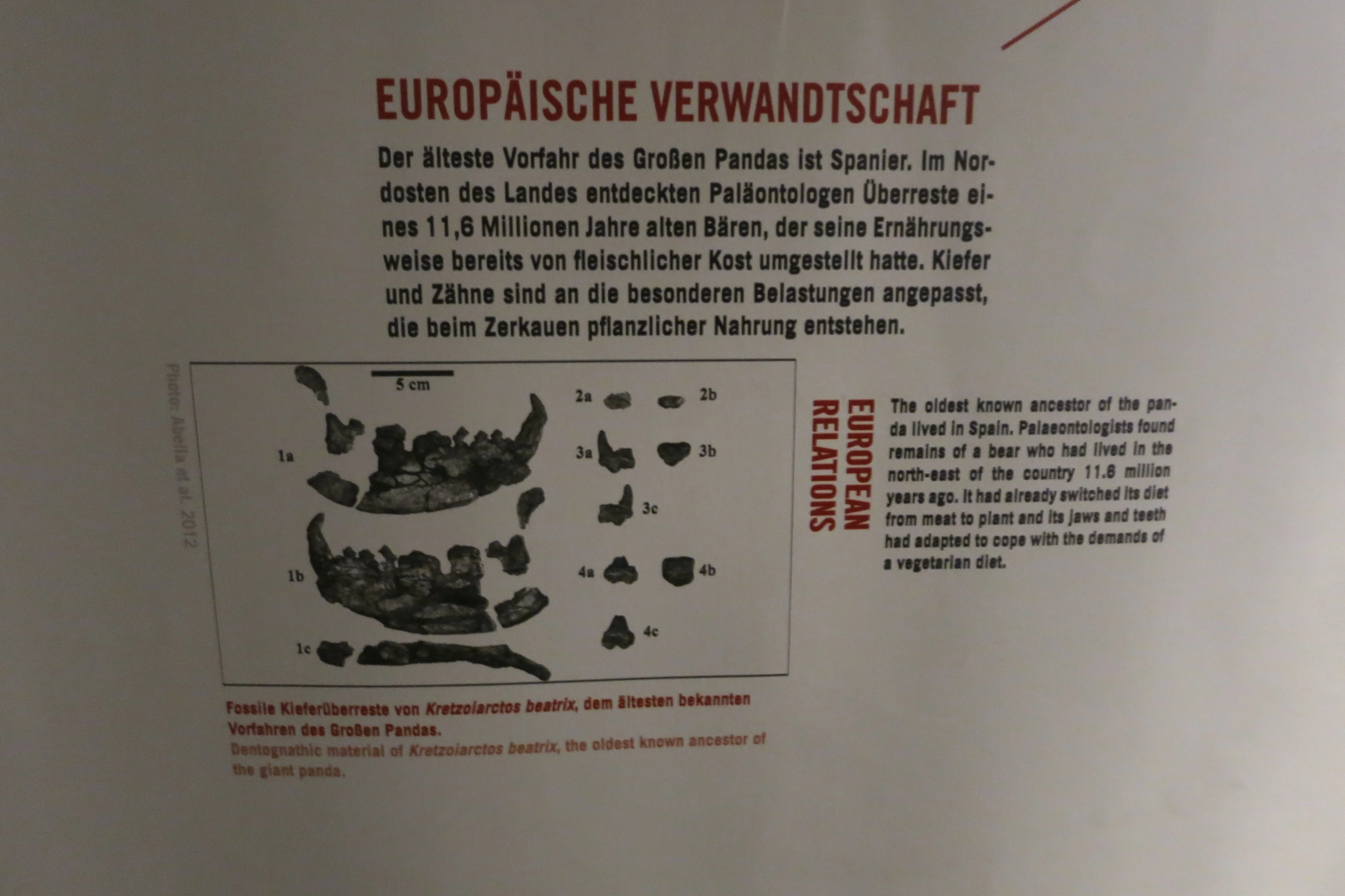 Museum für Naturkunde Berlin
