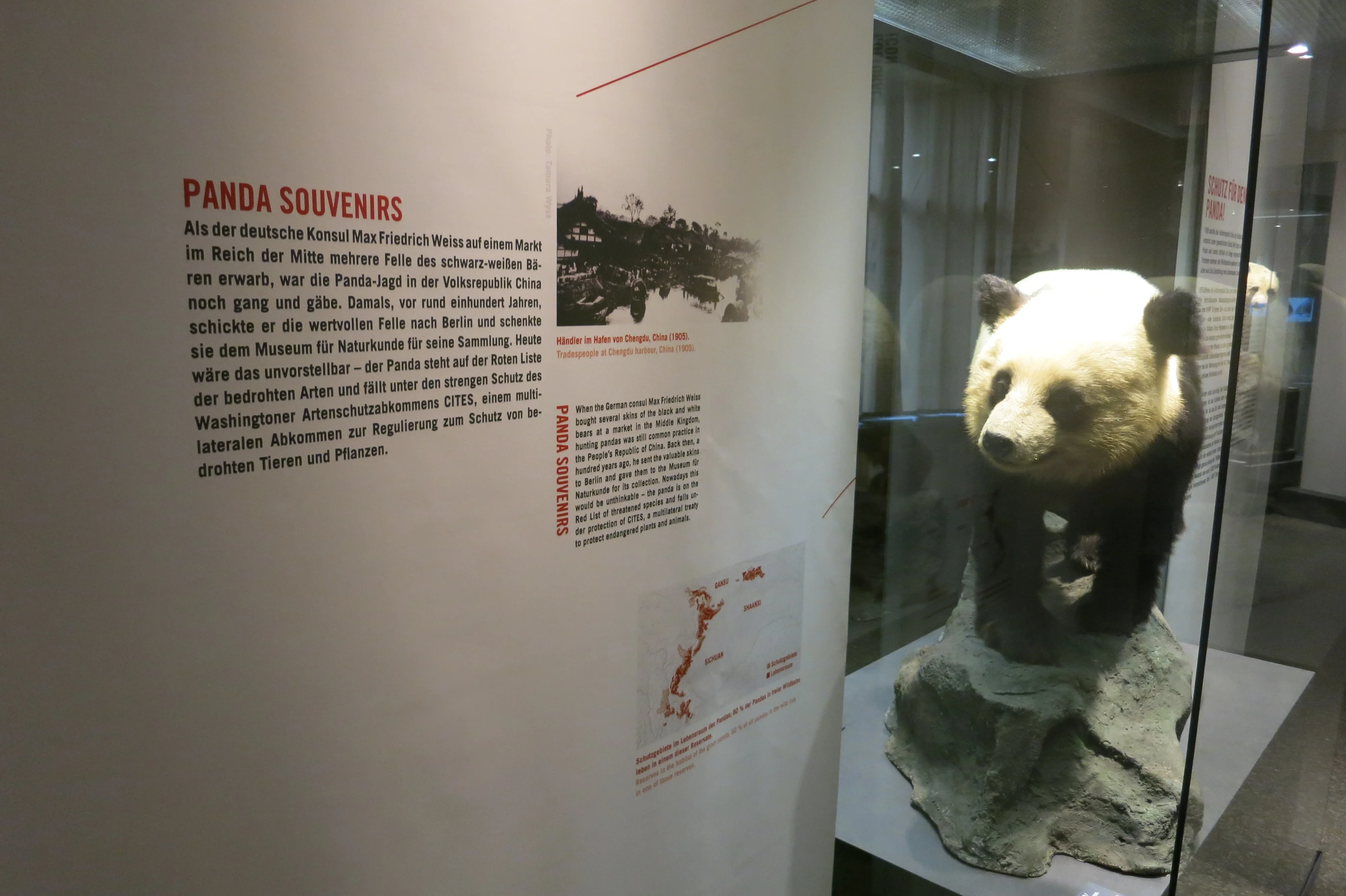Museum für Naturkunde Berlin