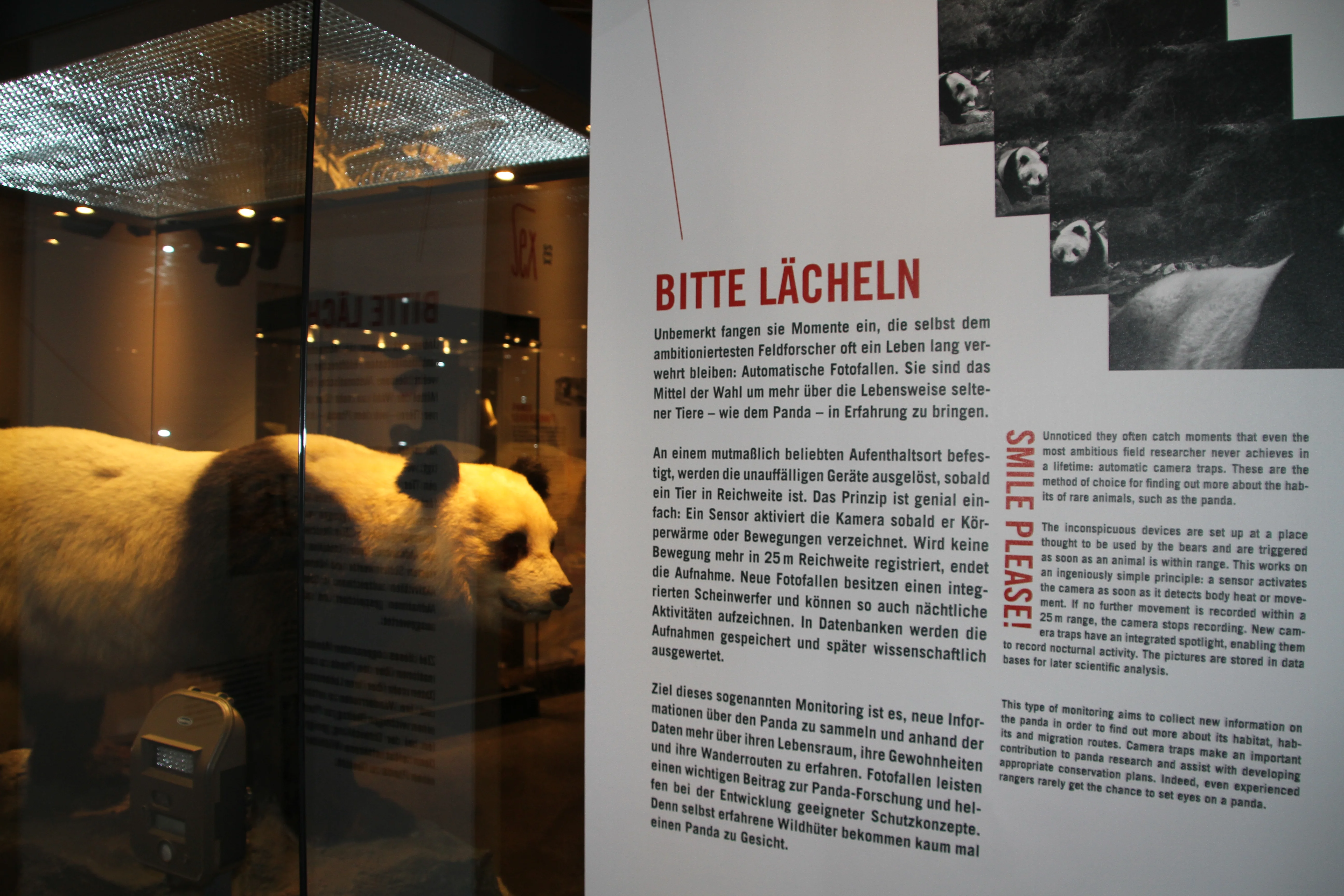 Museum für Naturkunde Berlin