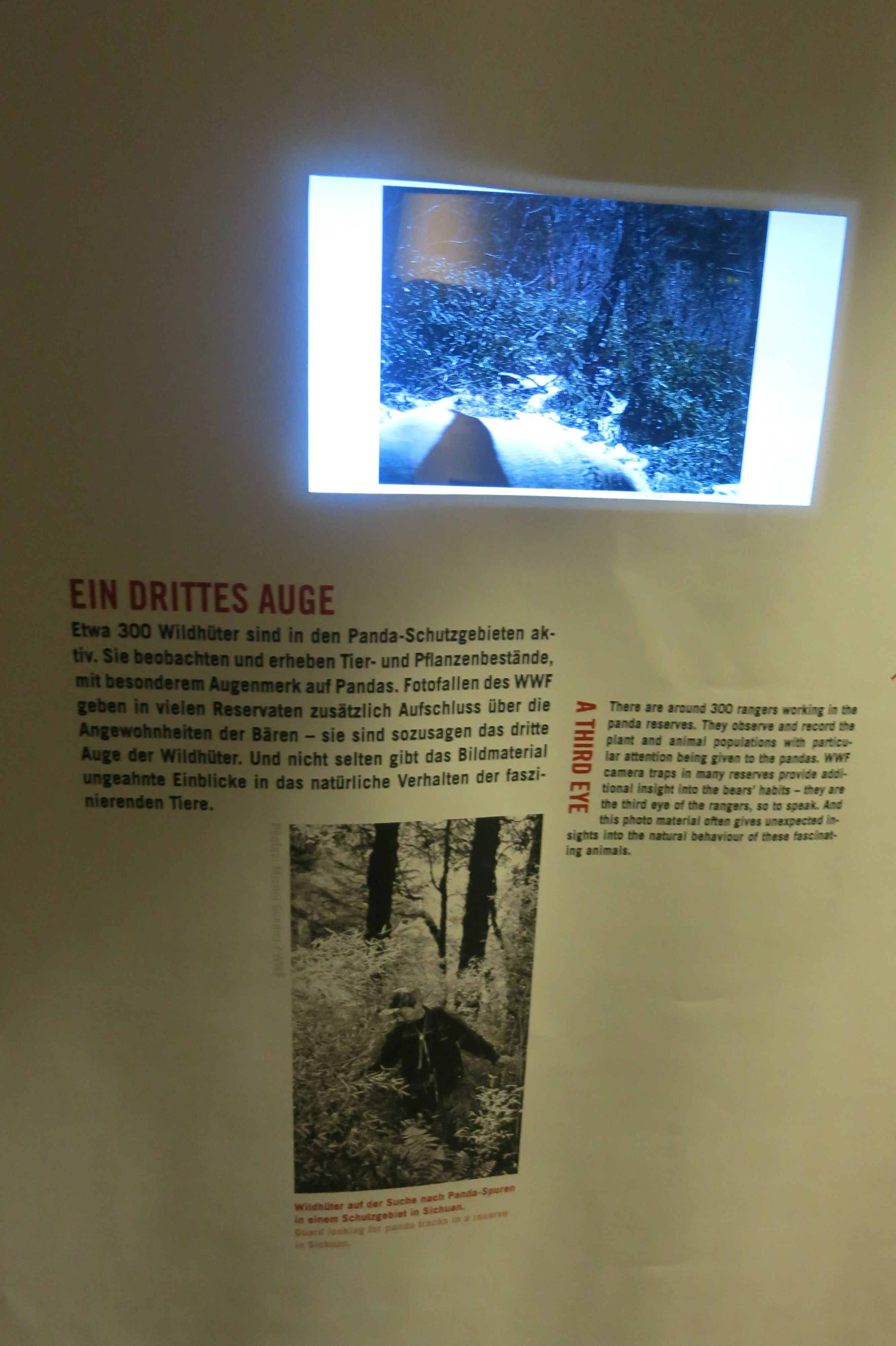 Museum für Naturkunde Berlin