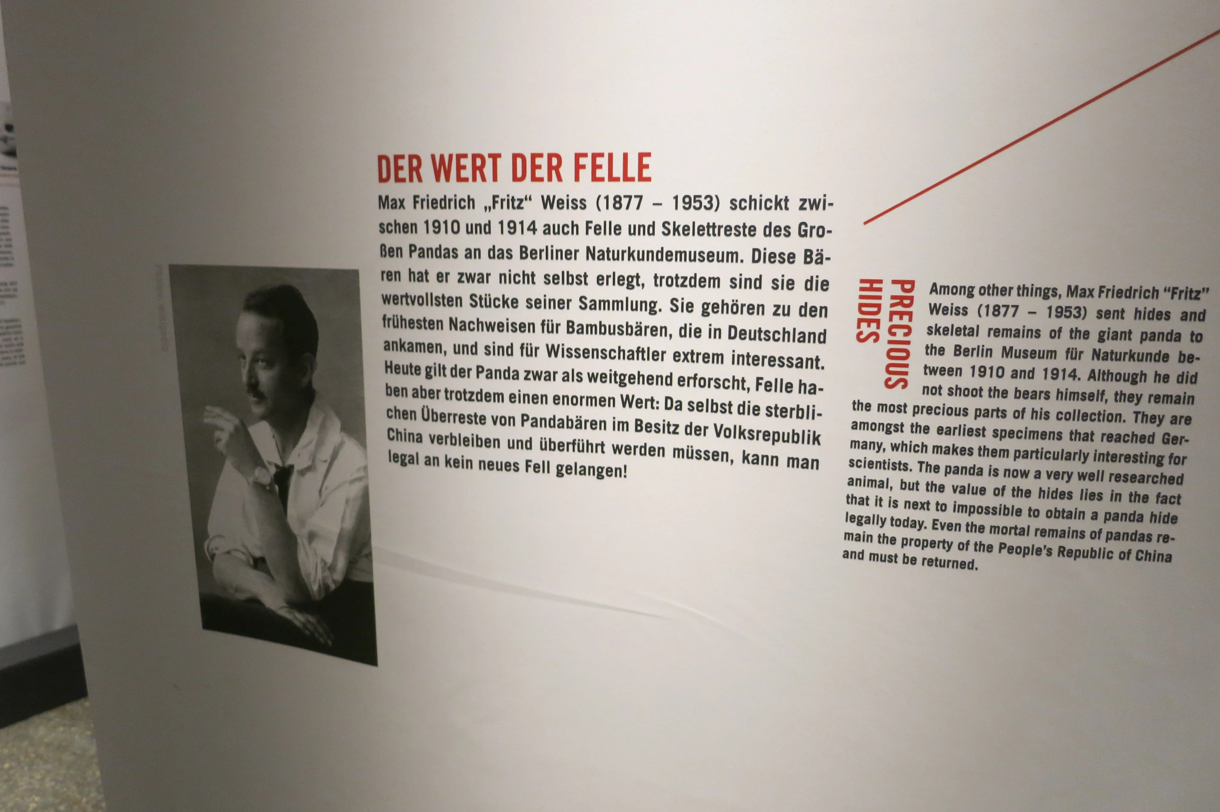Museum für Naturkunde Berlin
