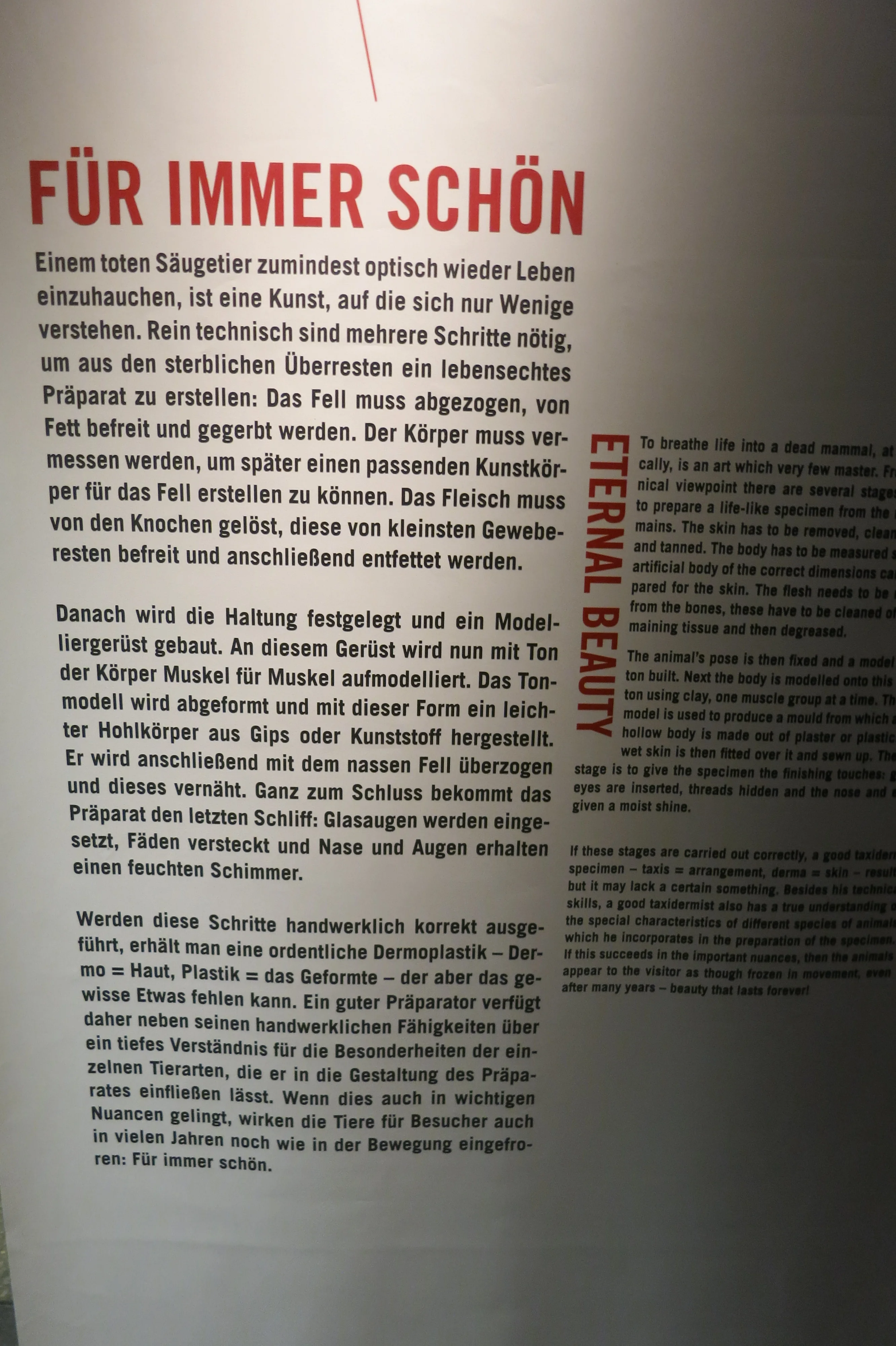 Museum für Naturkunde Berlin