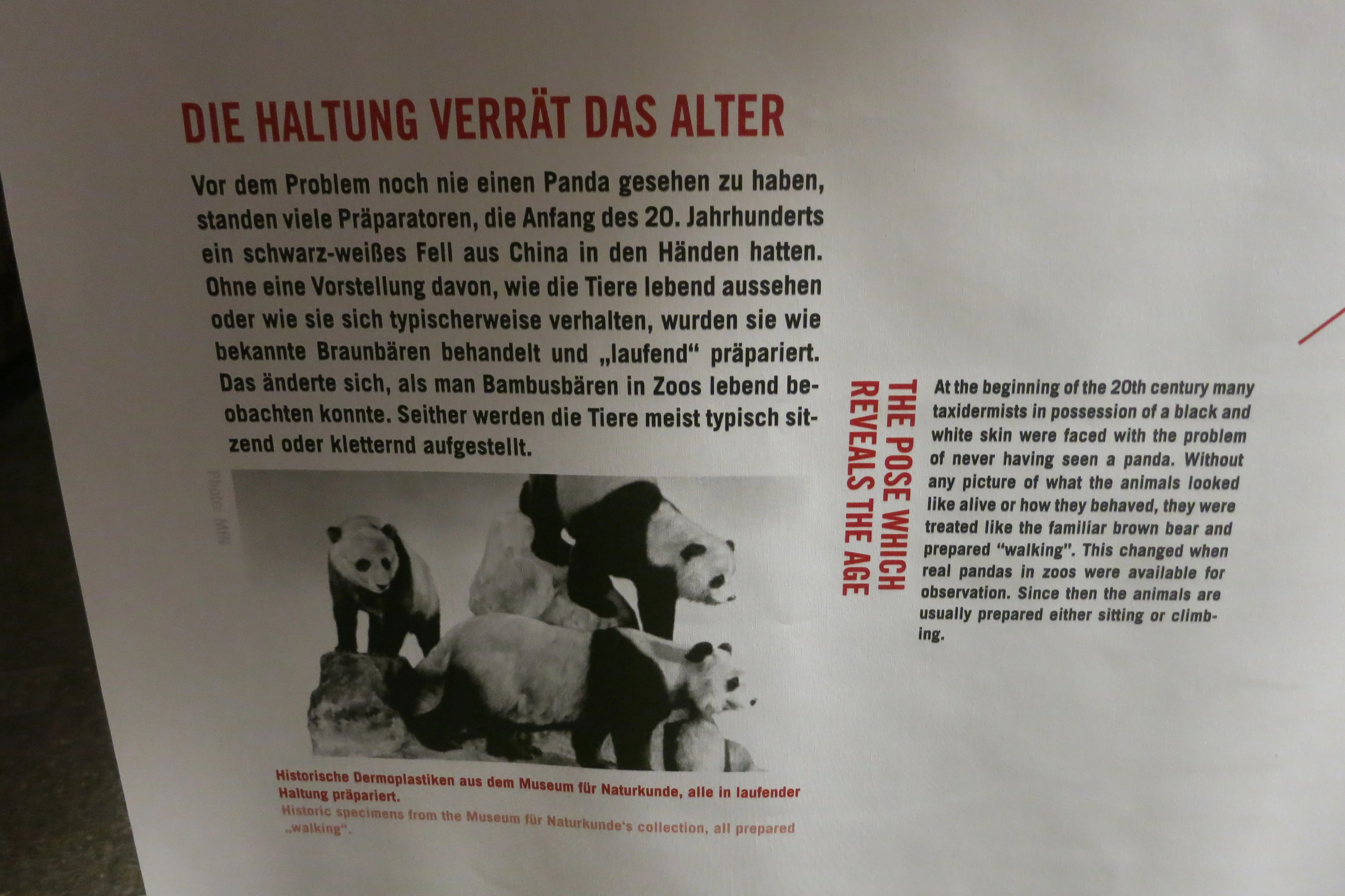 Museum für Naturkunde Berlin