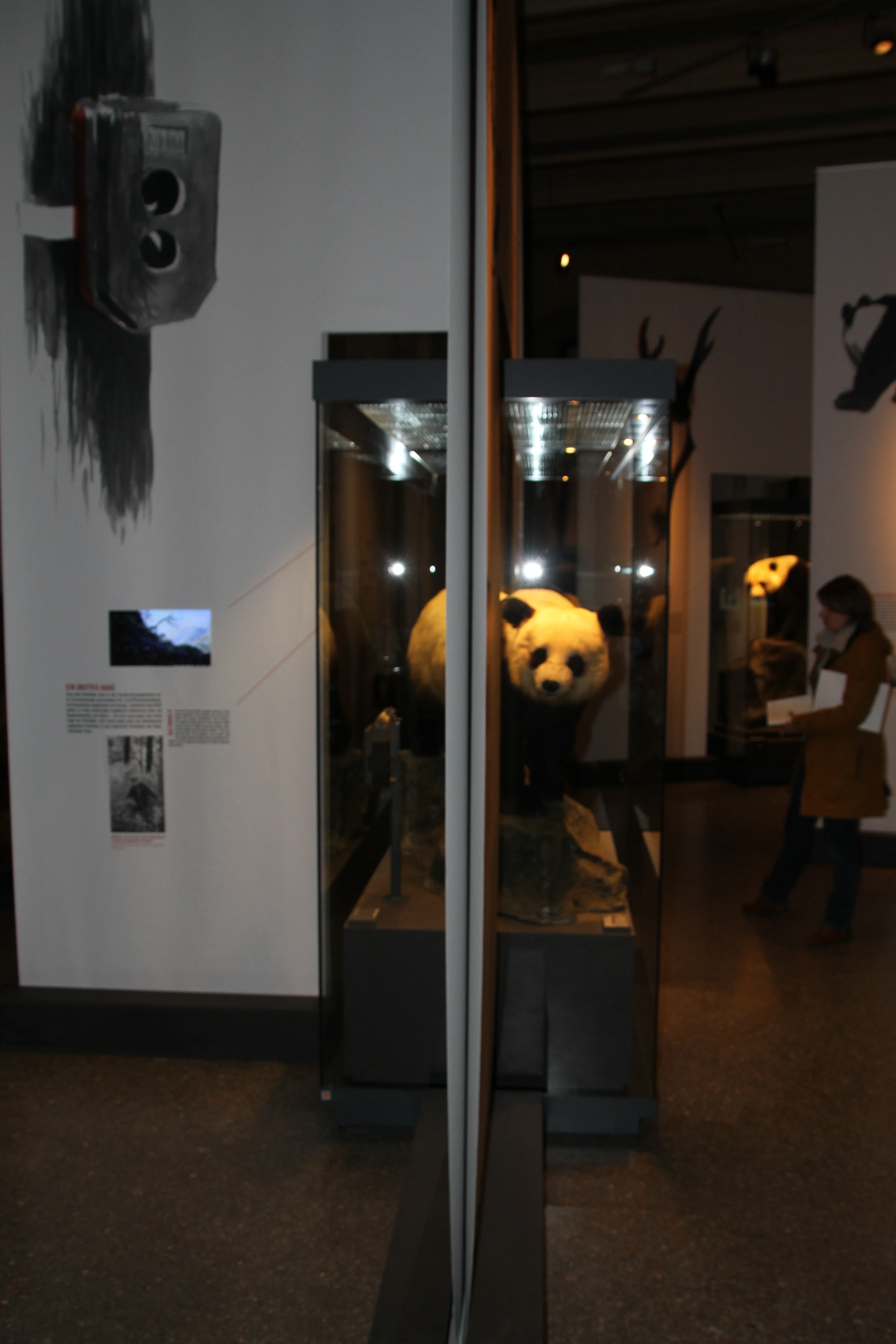 Museum für Naturkunde Berlin