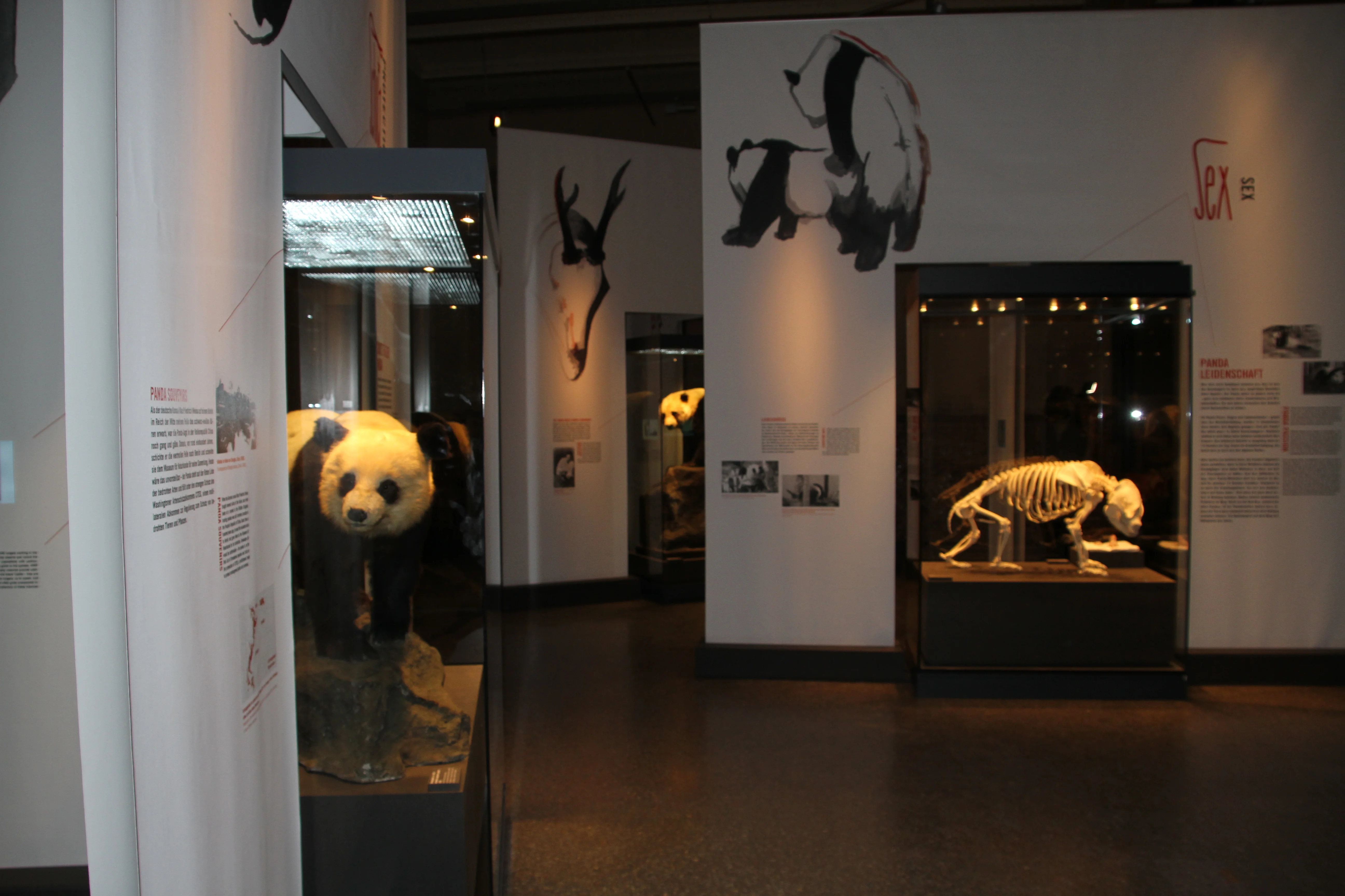 Museum für Naturkunde Berlin