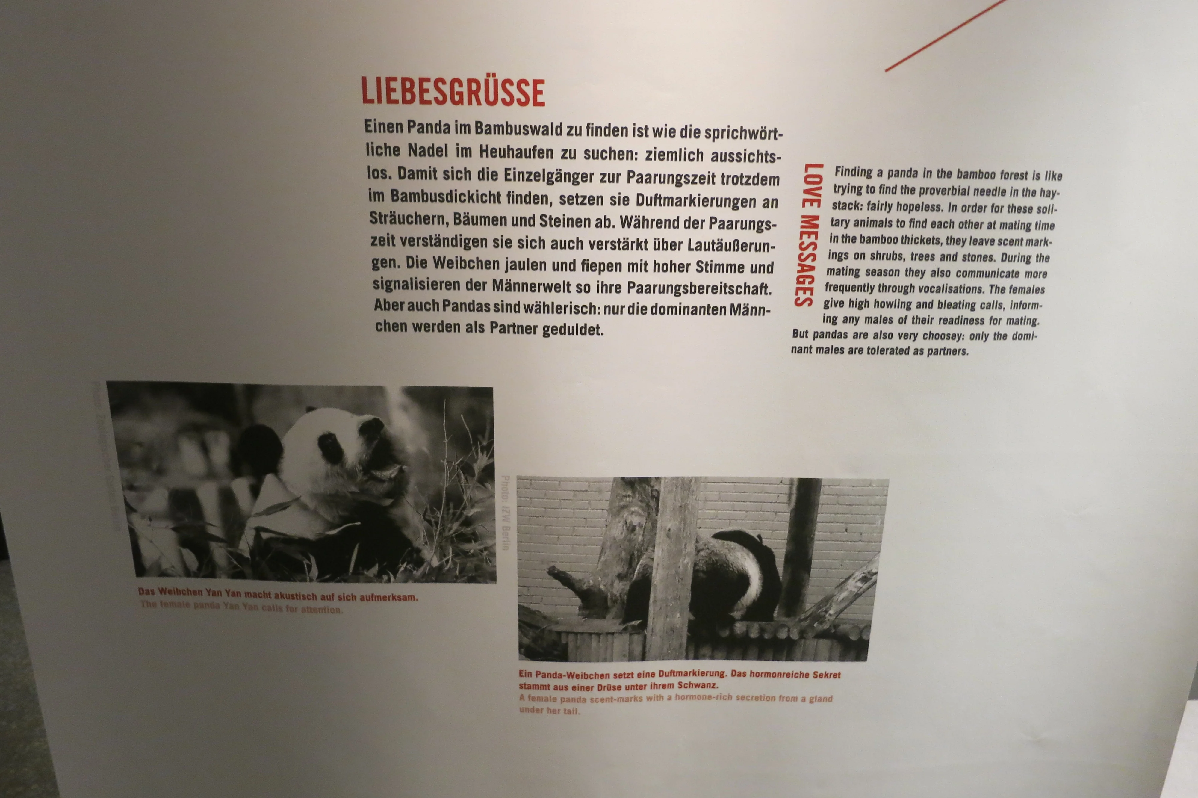 Museum für Naturkunde Berlin