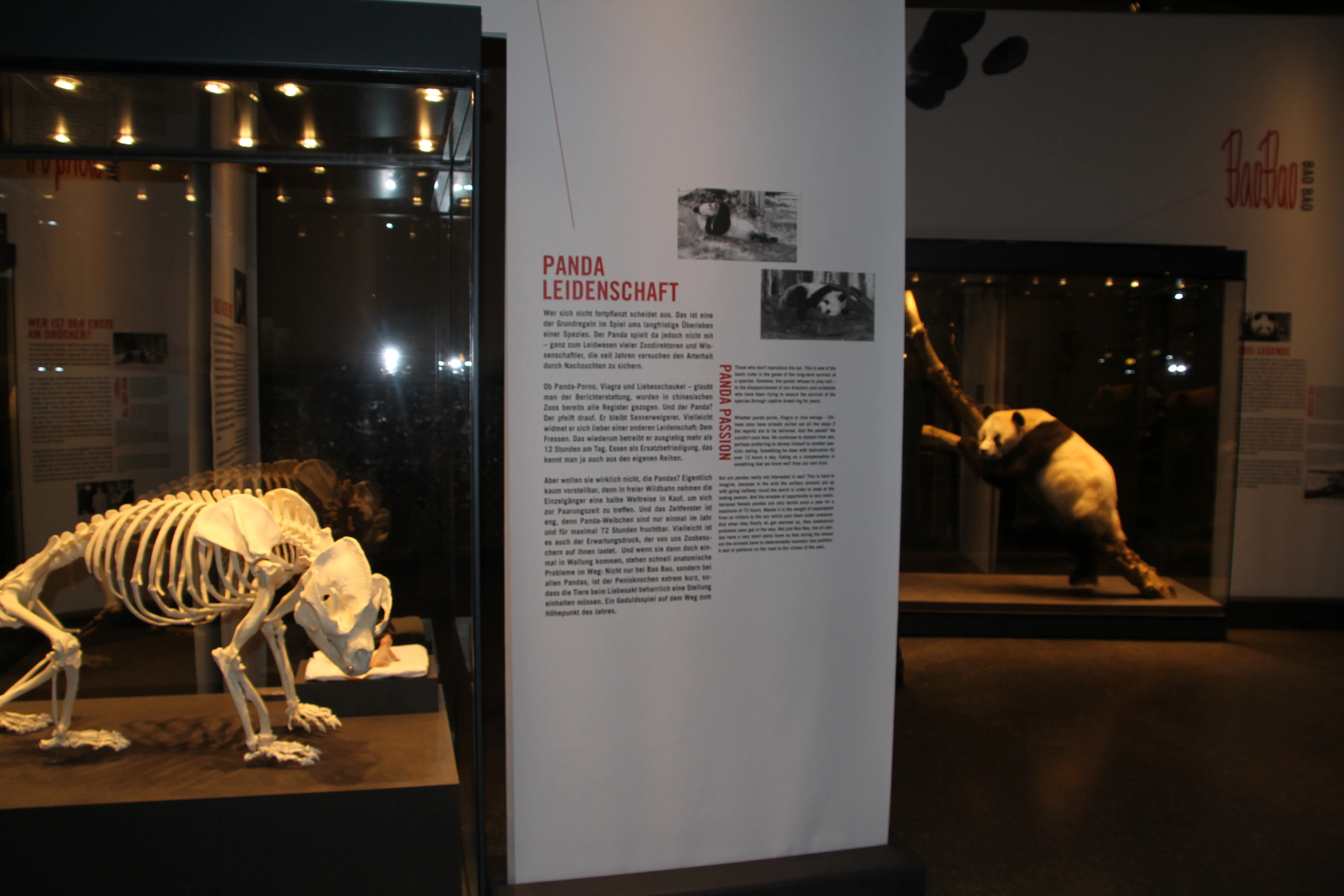 Museum für Naturkunde Berlin