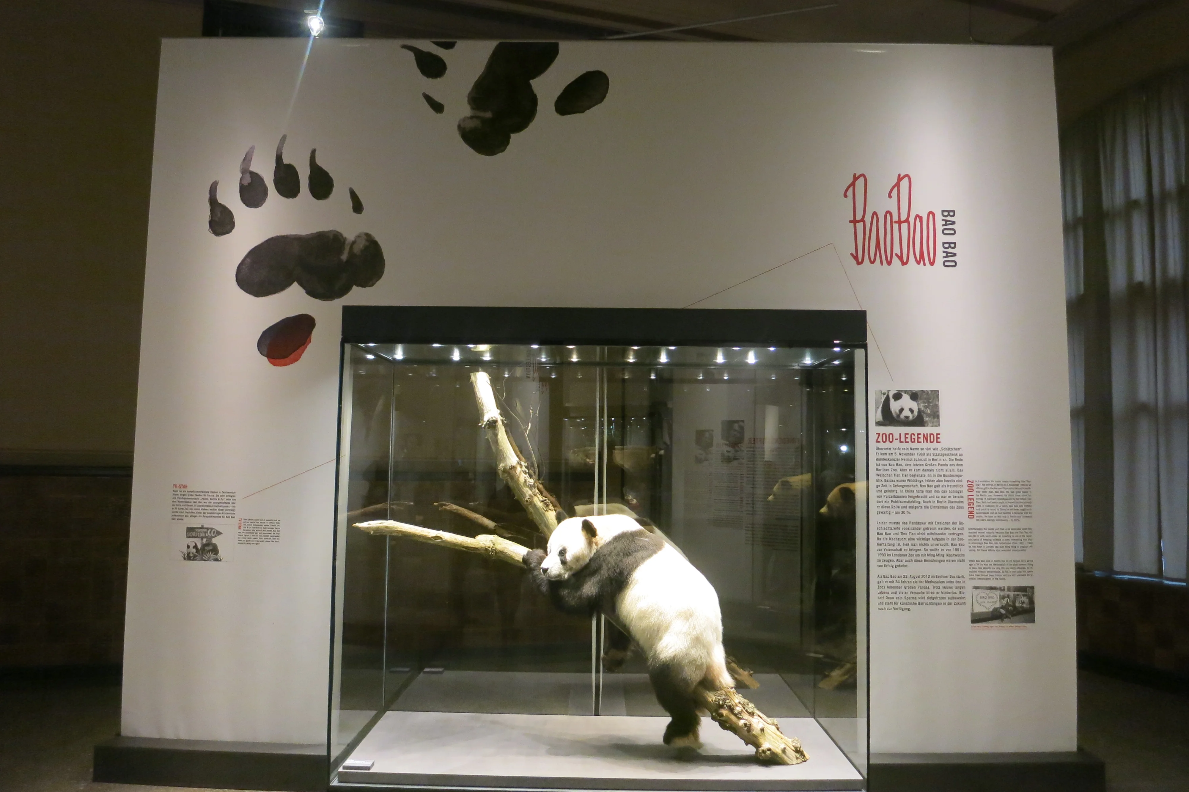 Museum für Naturkunde Berlin