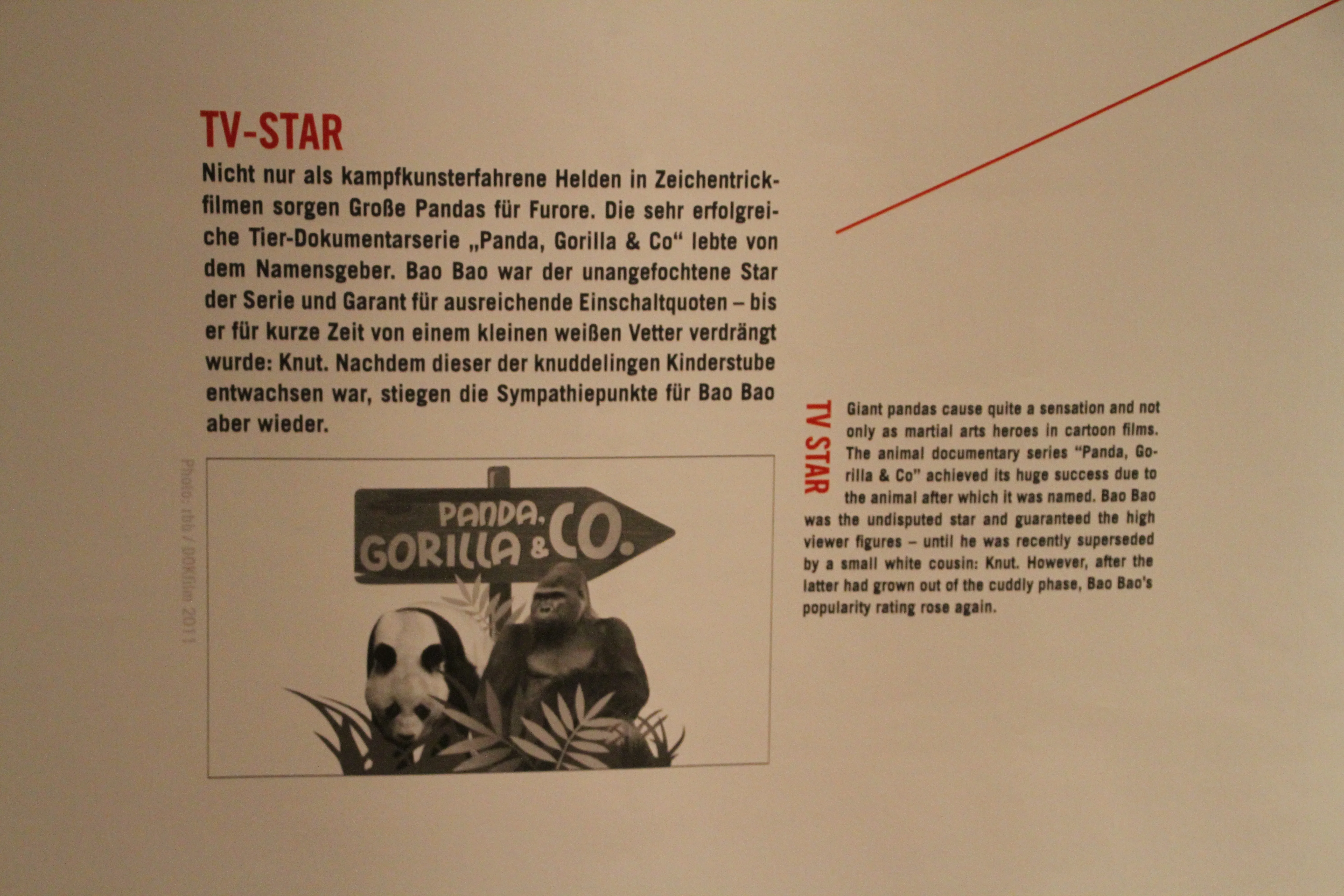 Museum für Naturkunde Berlin