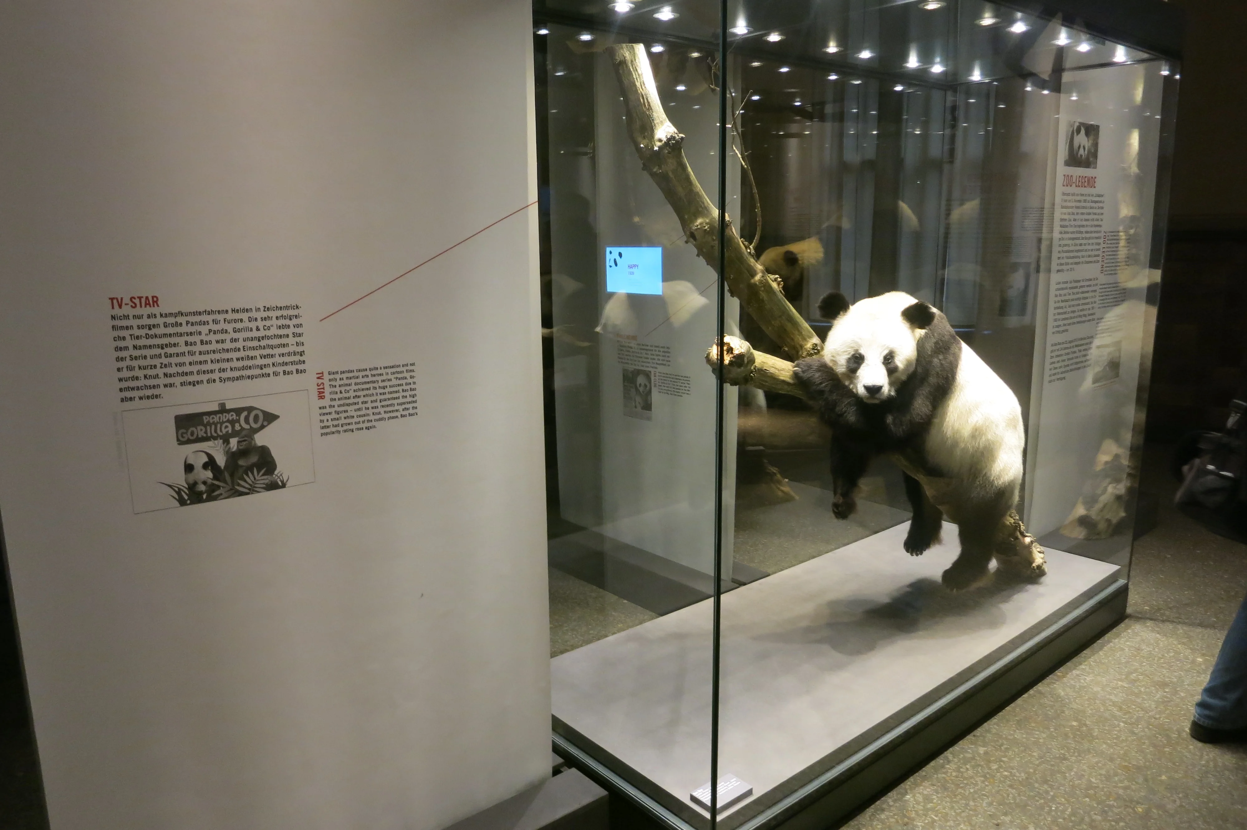 Museum für Naturkunde Berlin