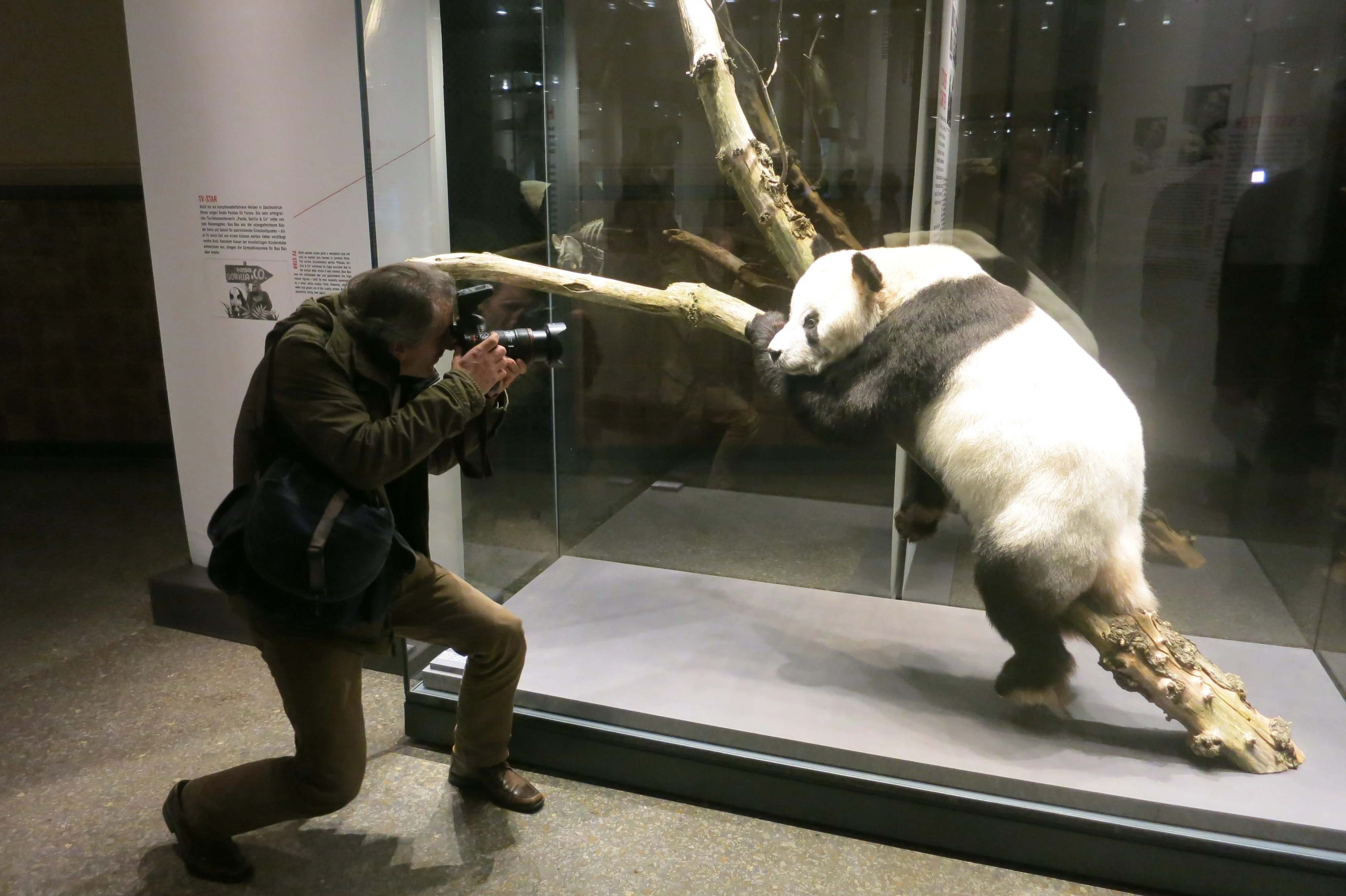 Museum für Naturkunde Berlin
