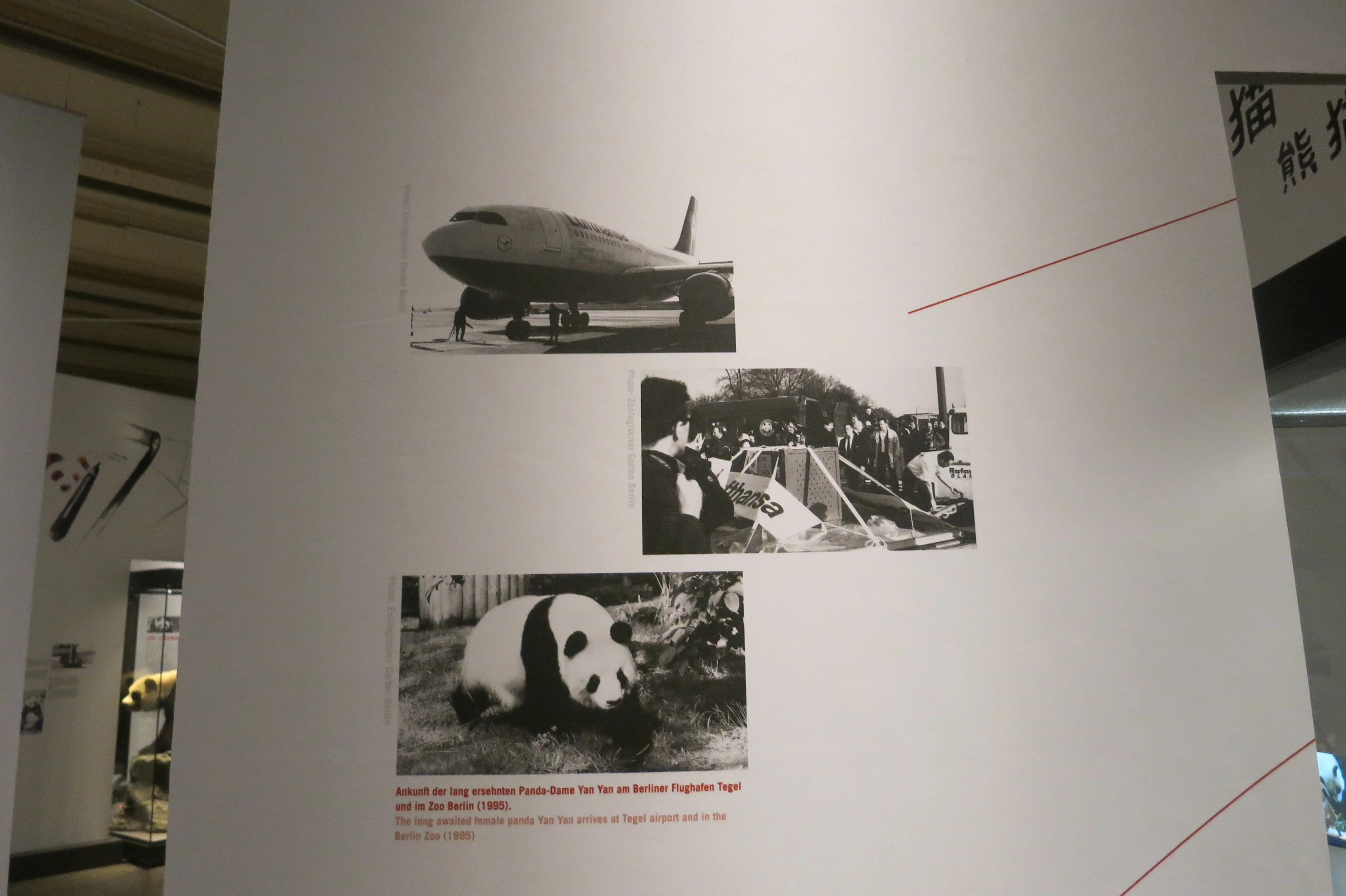 Museum für Naturkunde Berlin