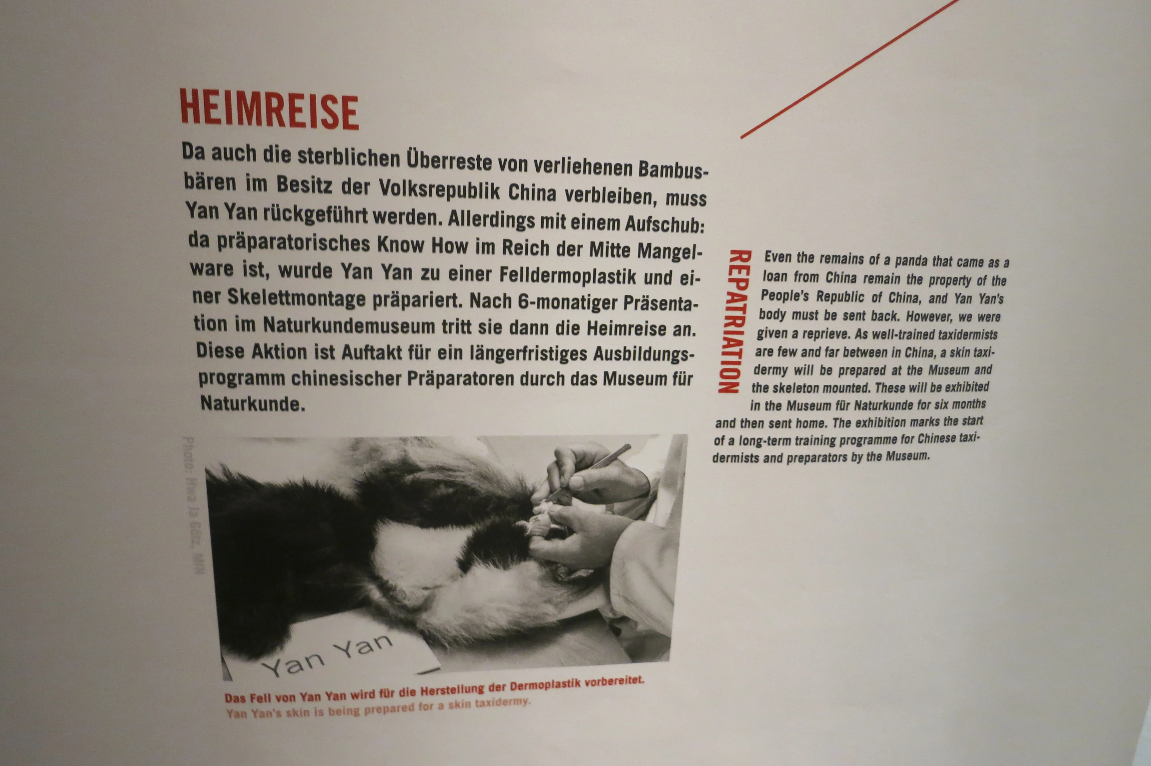 Museum für Naturkunde Berlin