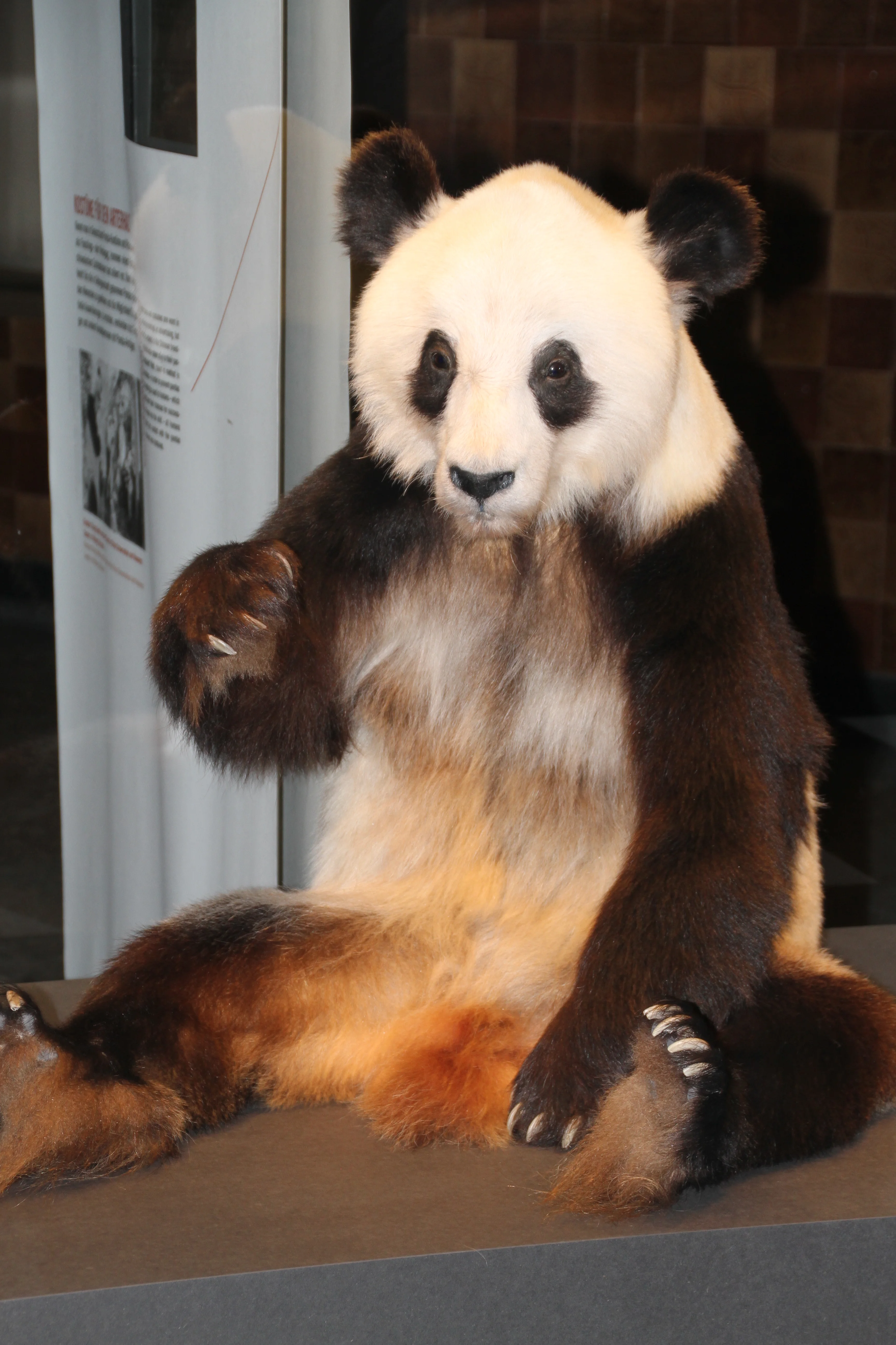 Museum für Naturkunde Berlin
