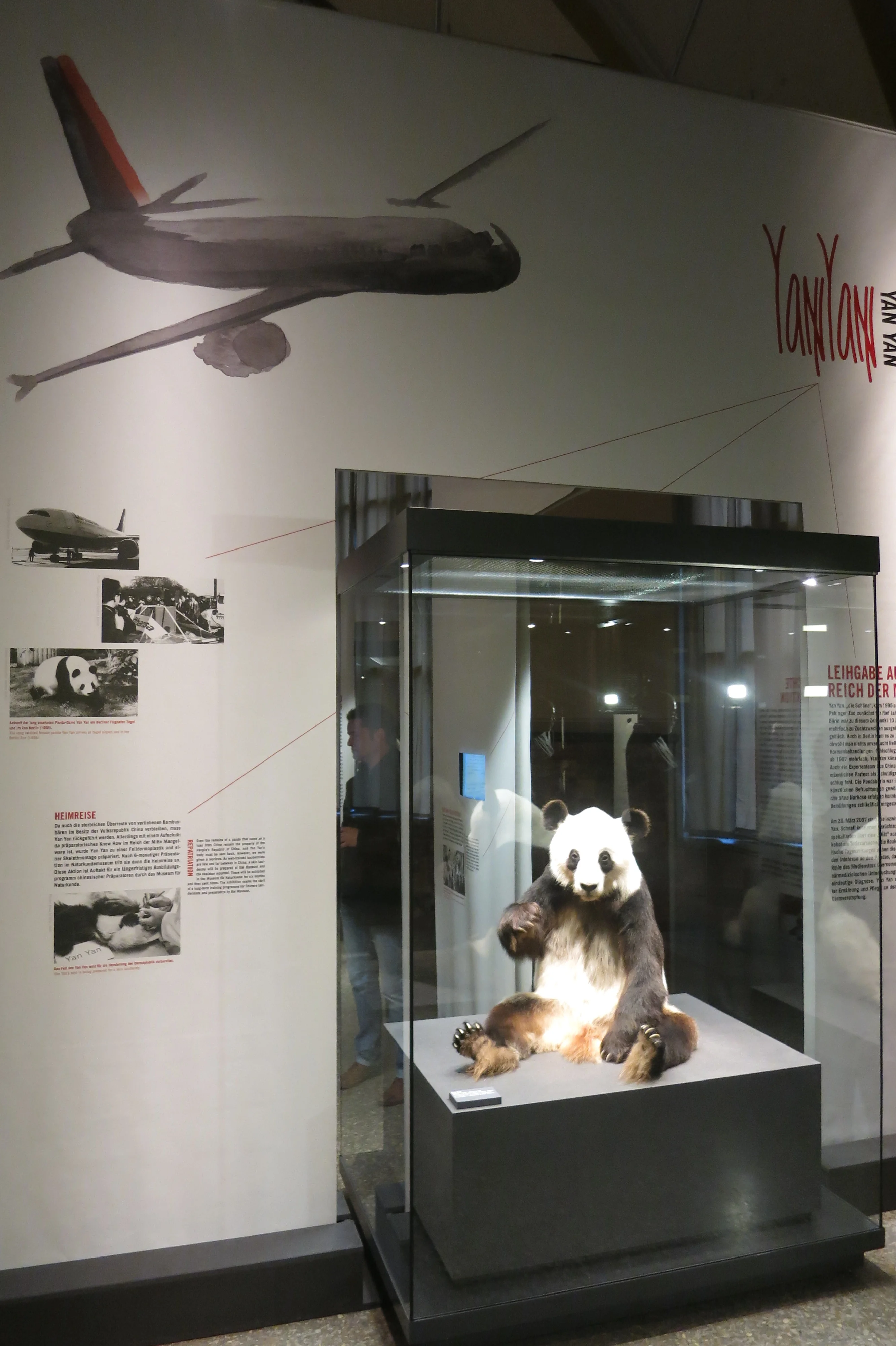Museum für Naturkunde Berlin
