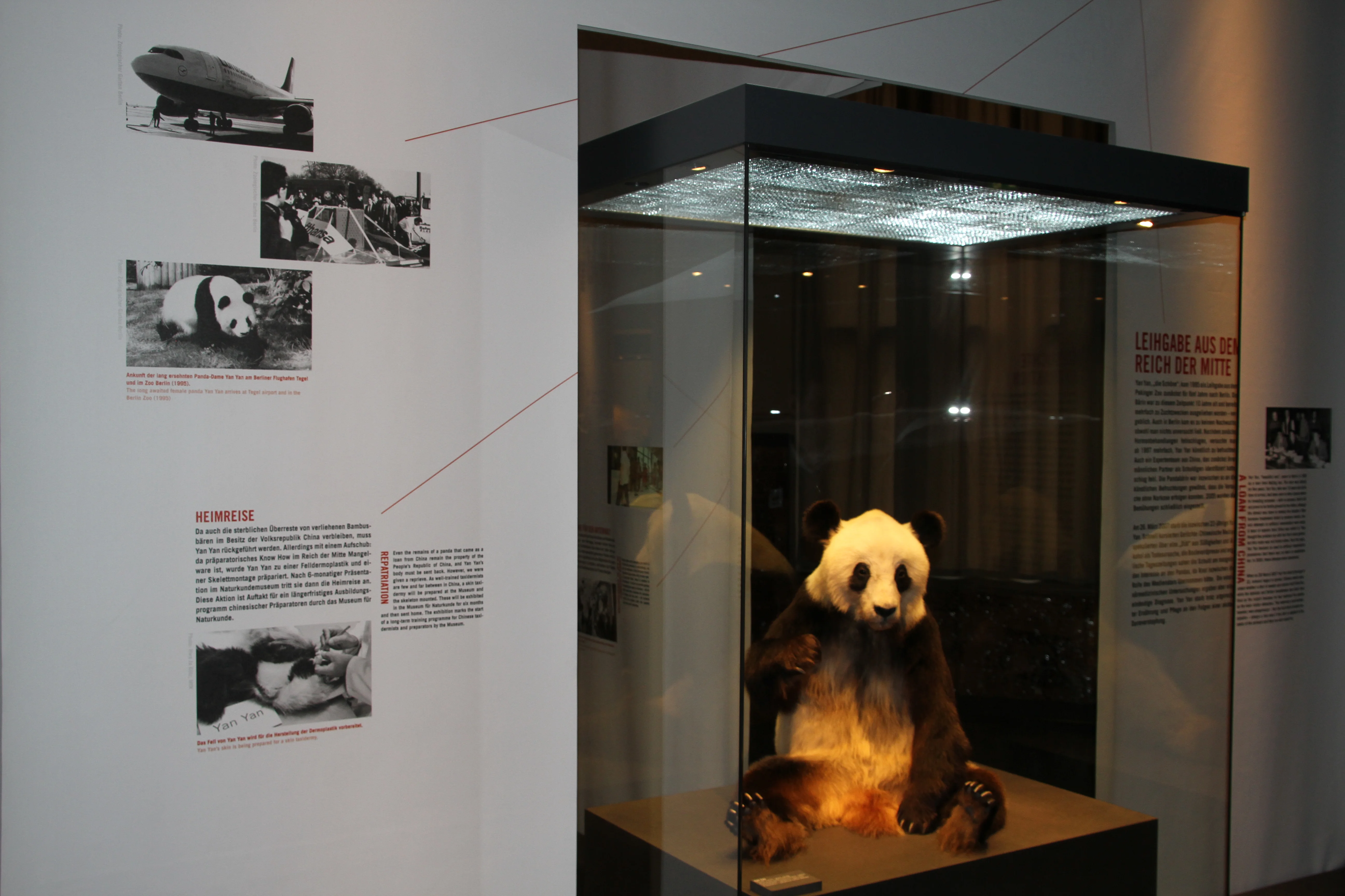 Museum für Naturkunde Berlin