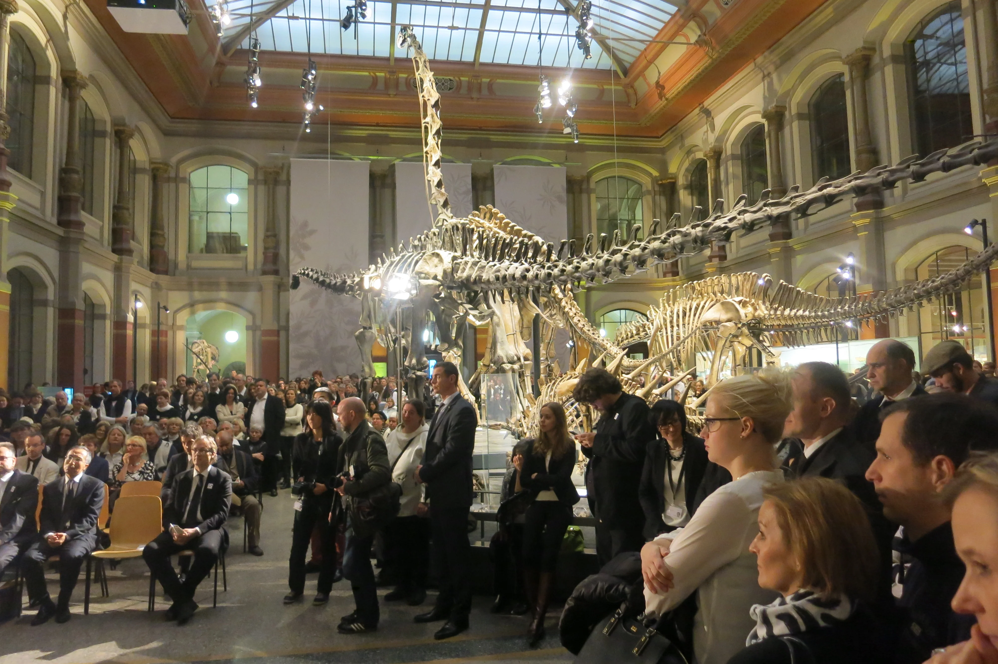 Museum für Naturkunde Berlin