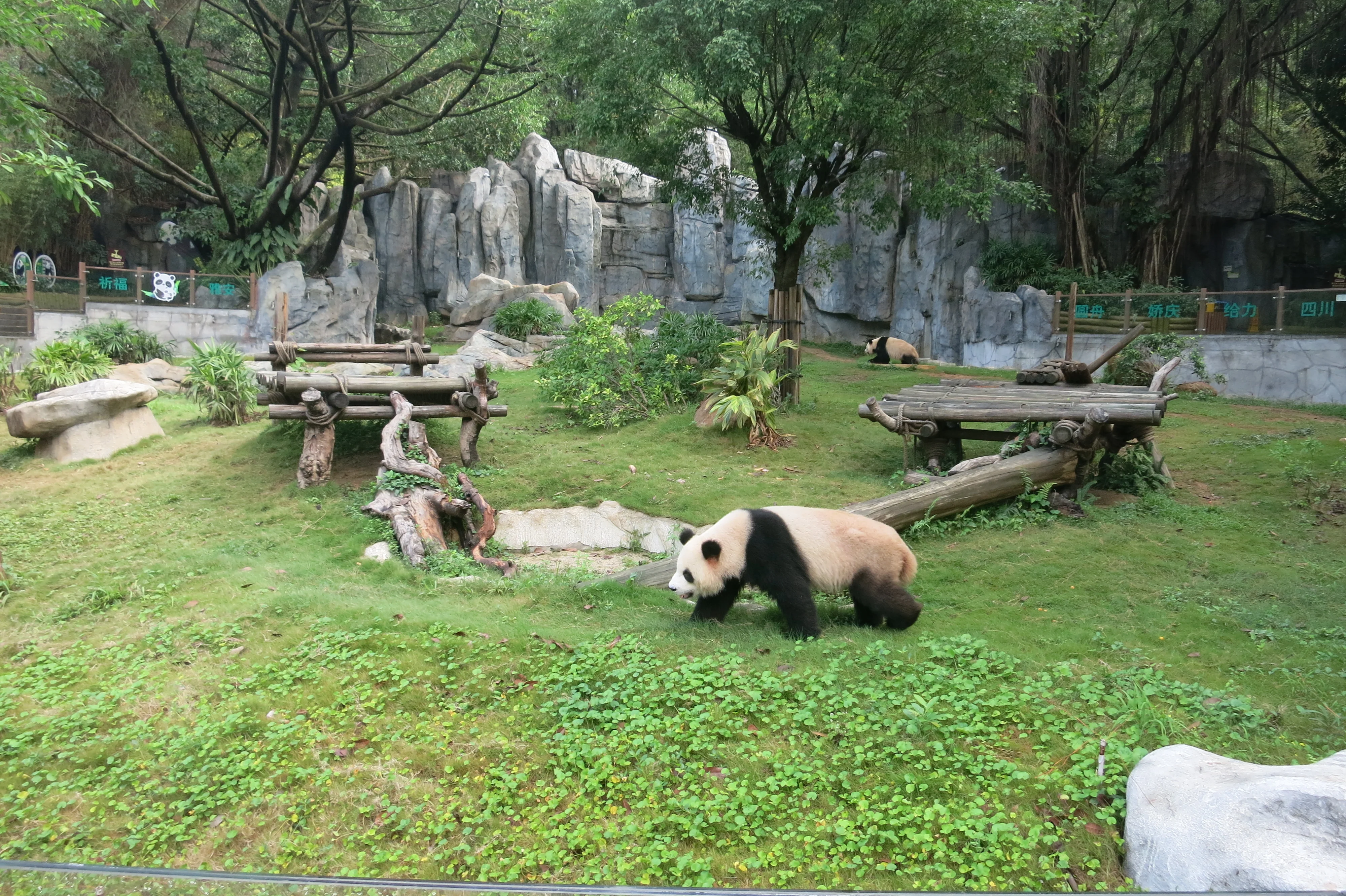 Shenzhen Safari Park
