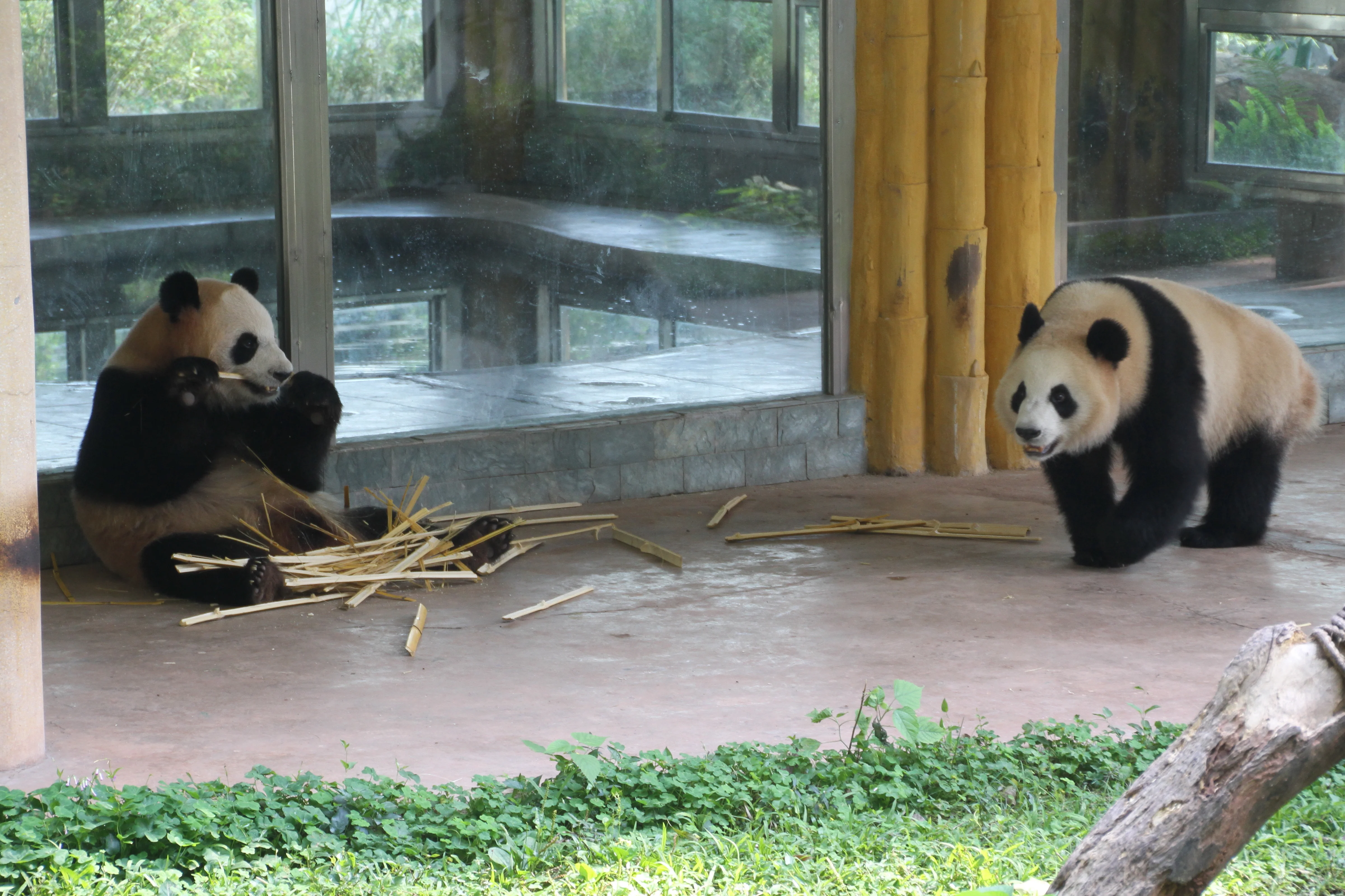 Guangzhou Zoo