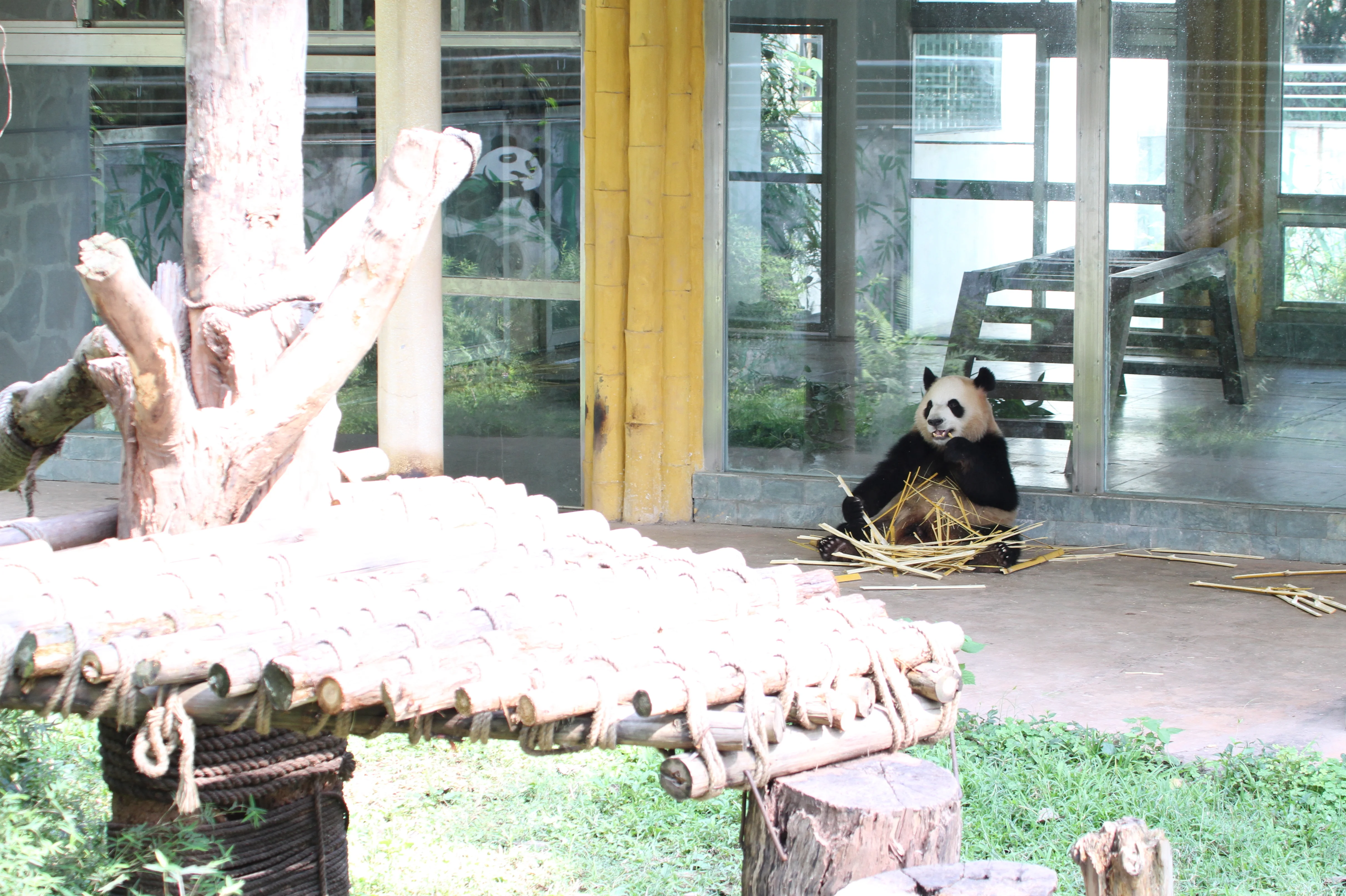 Guangzhou Zoo