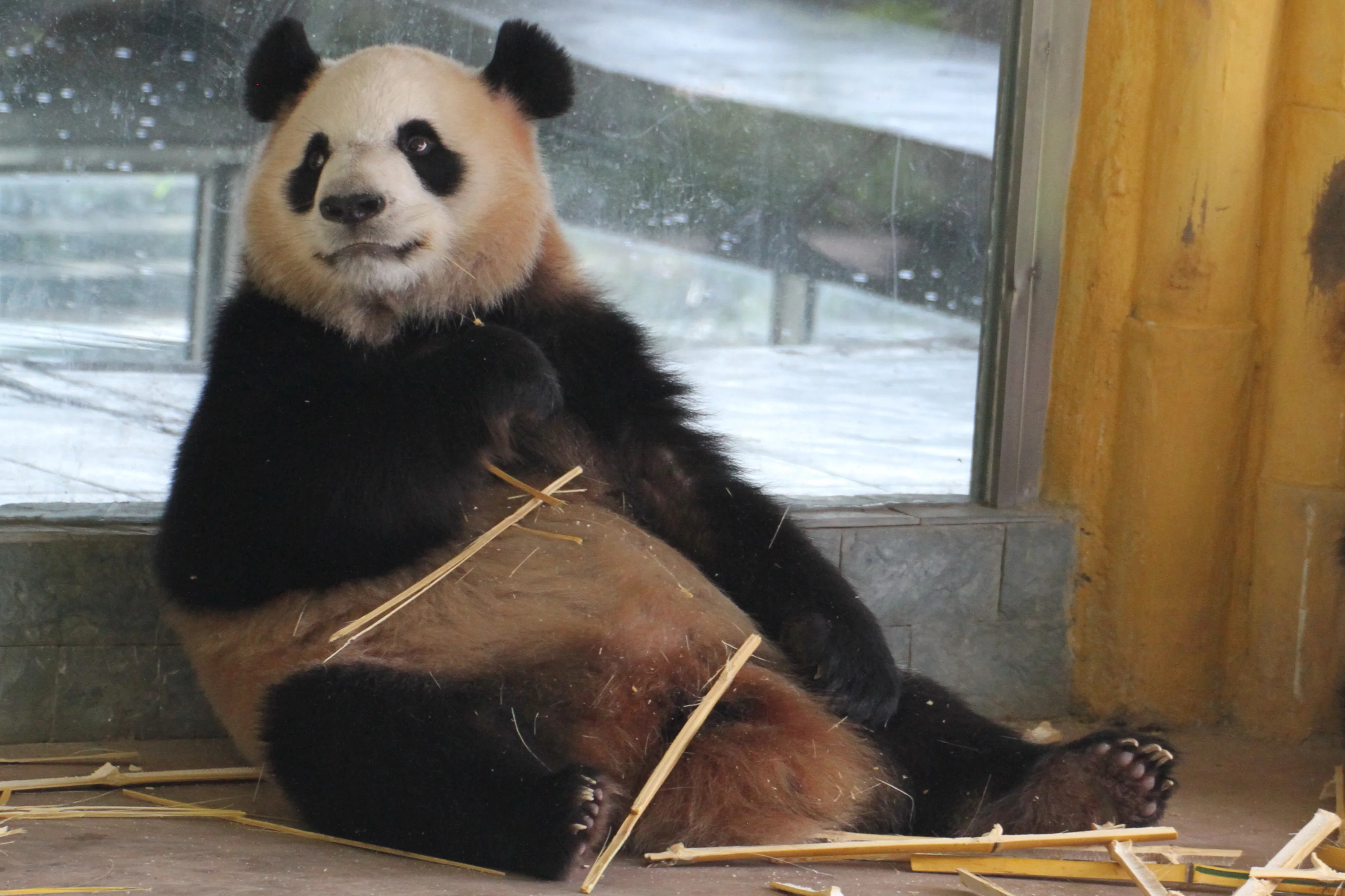 Guangzhou Zoo
