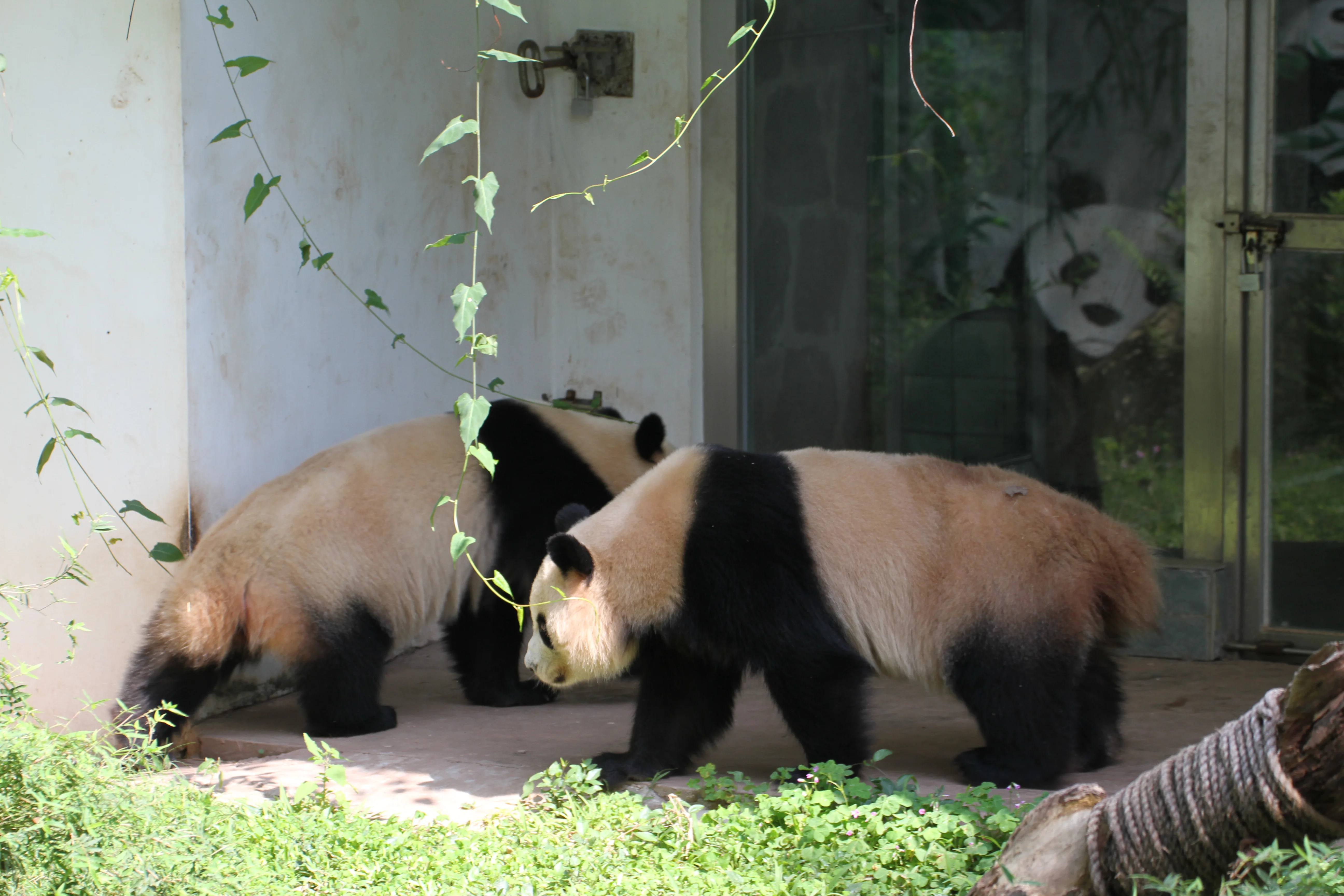 Guangzhou Zoo