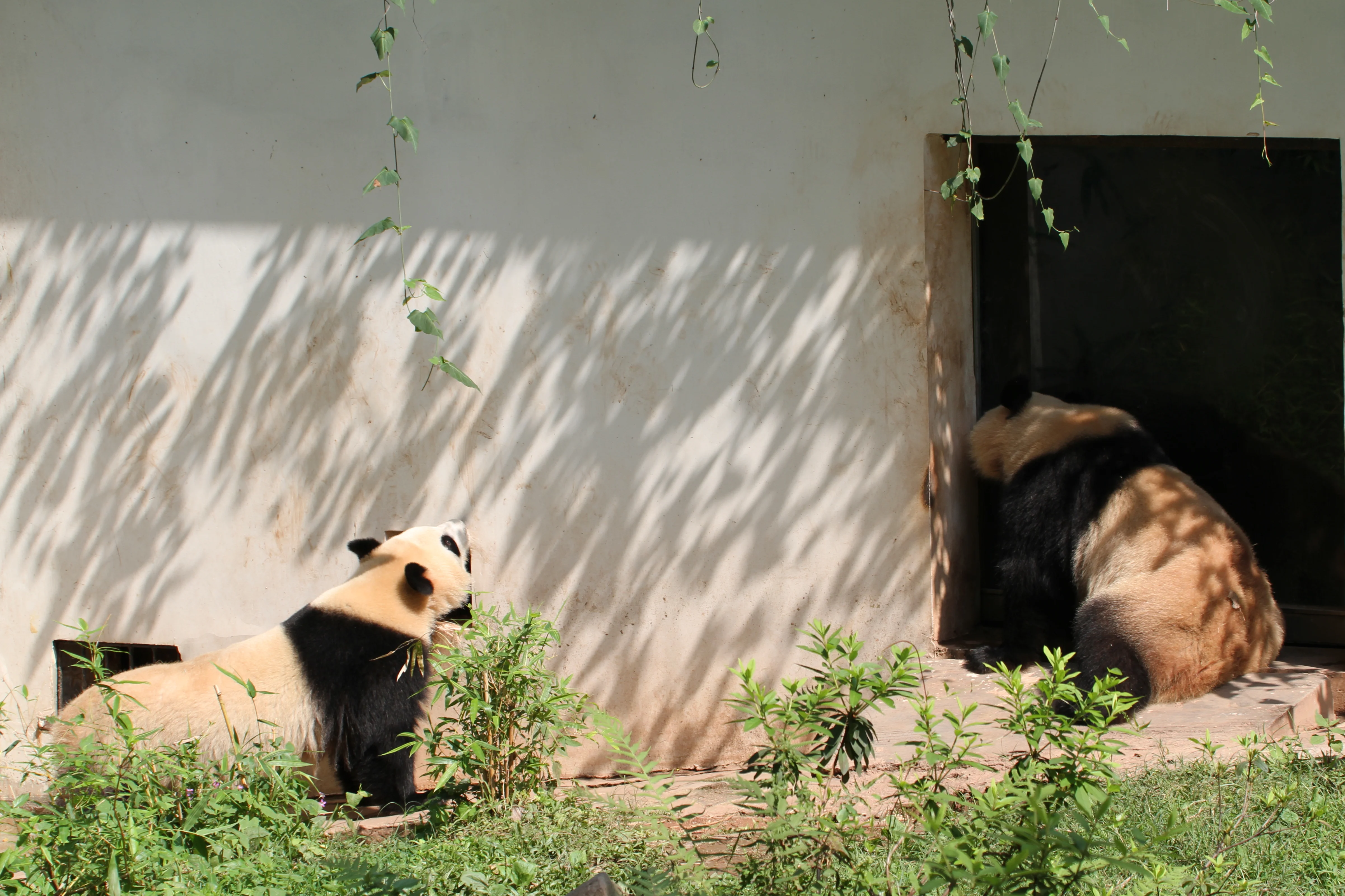 Guangzhou Zoo