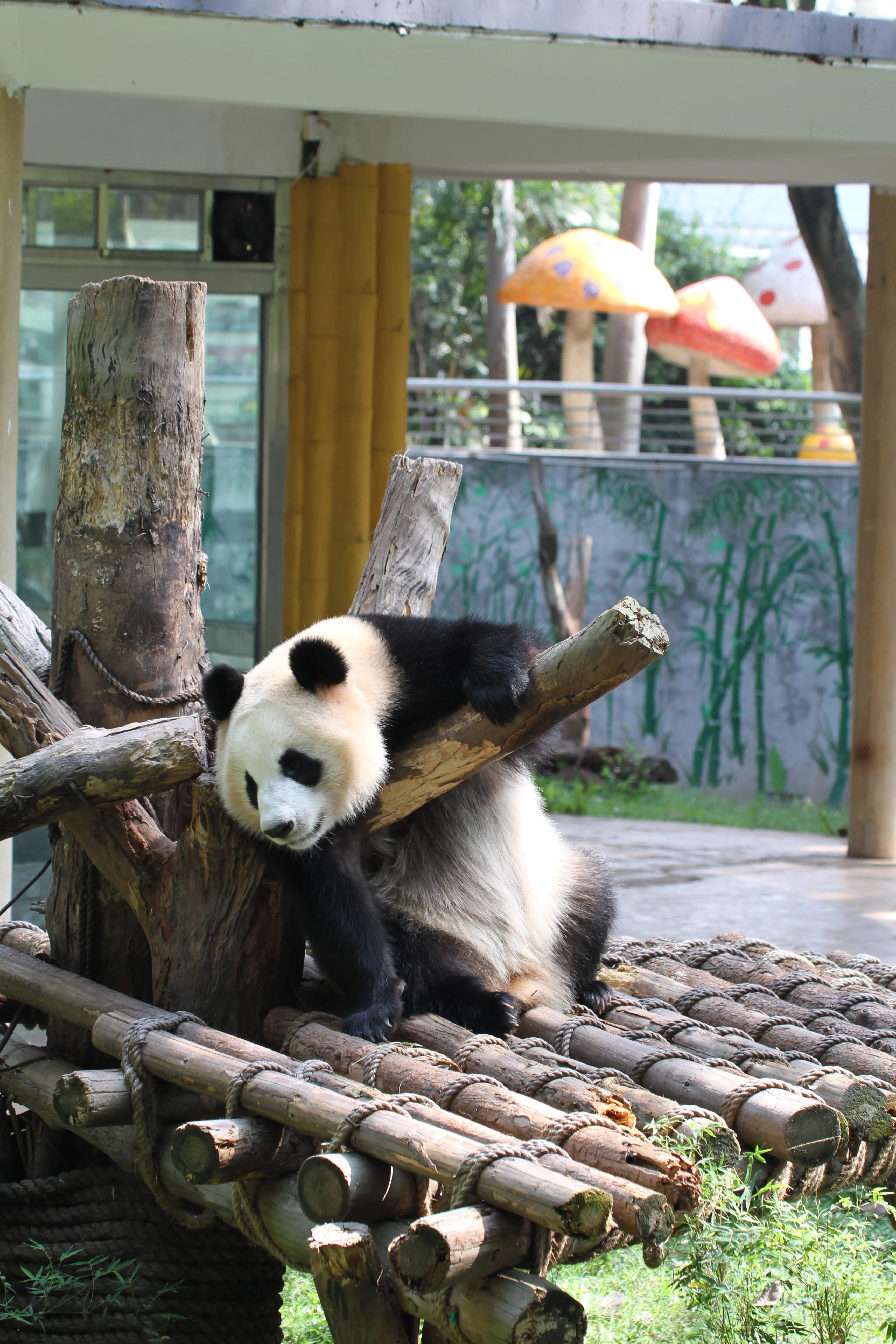 Guangzhou Zoo