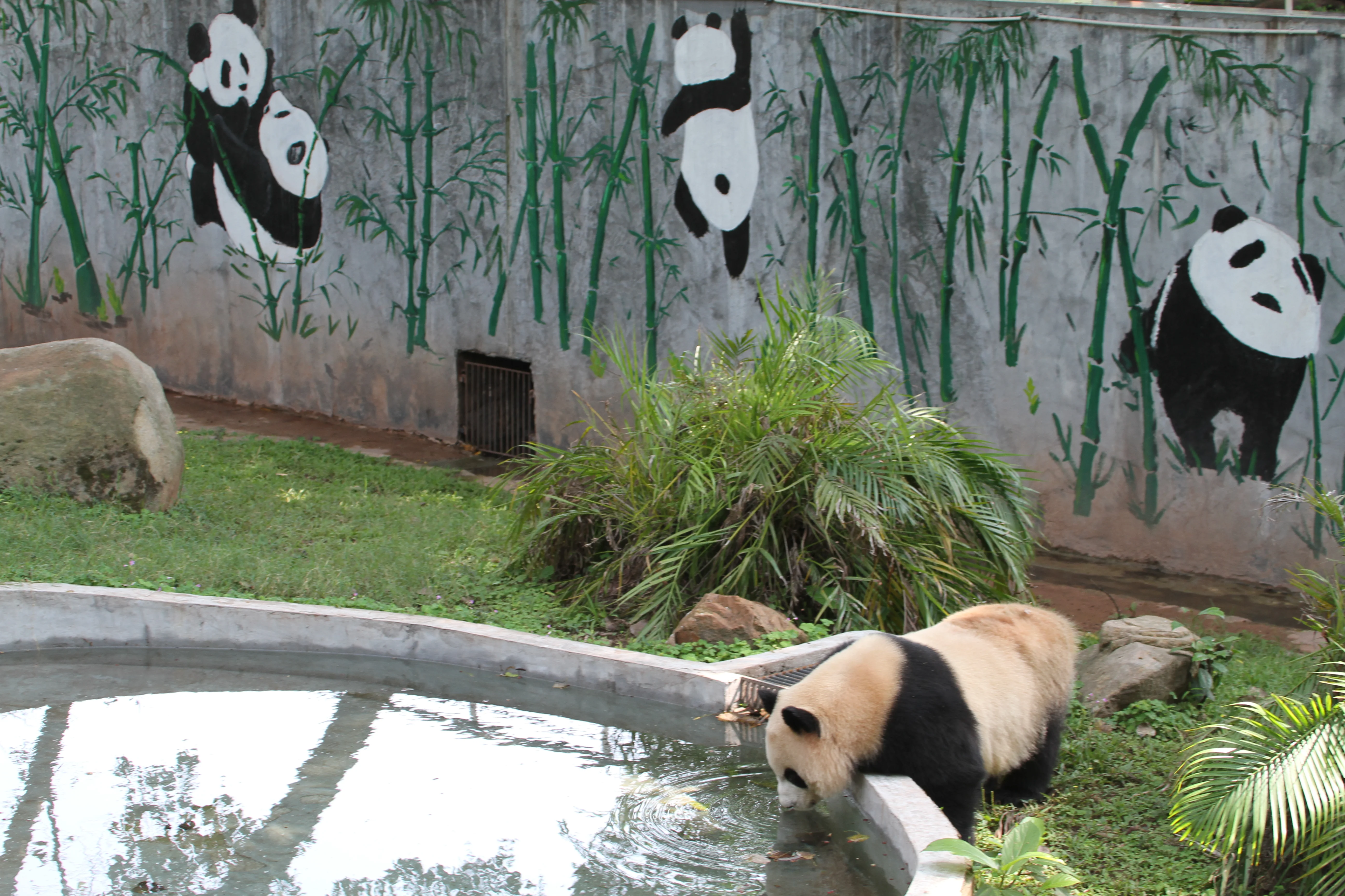 Guangzhou Zoo