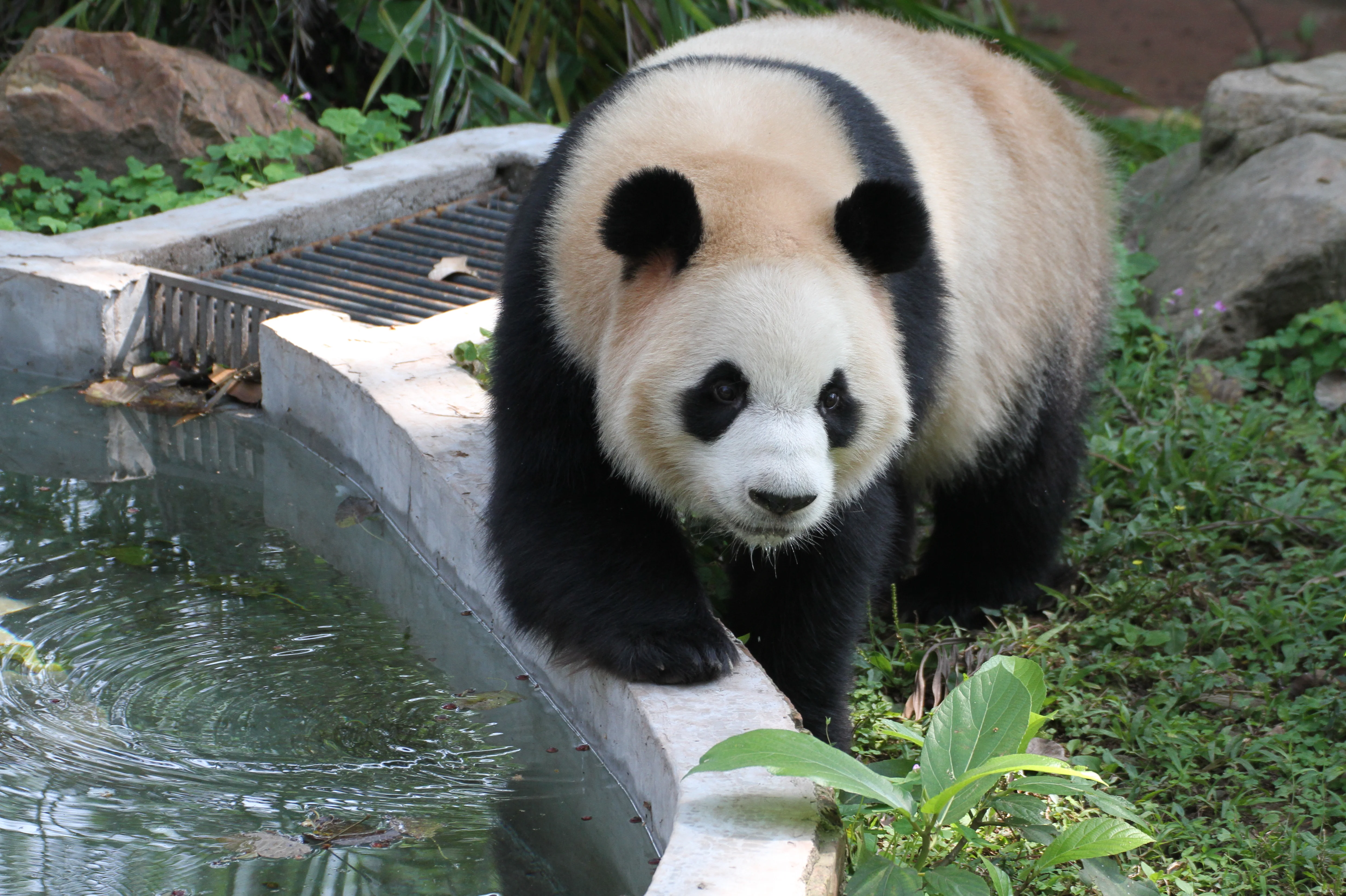 Guangzhou Zoo