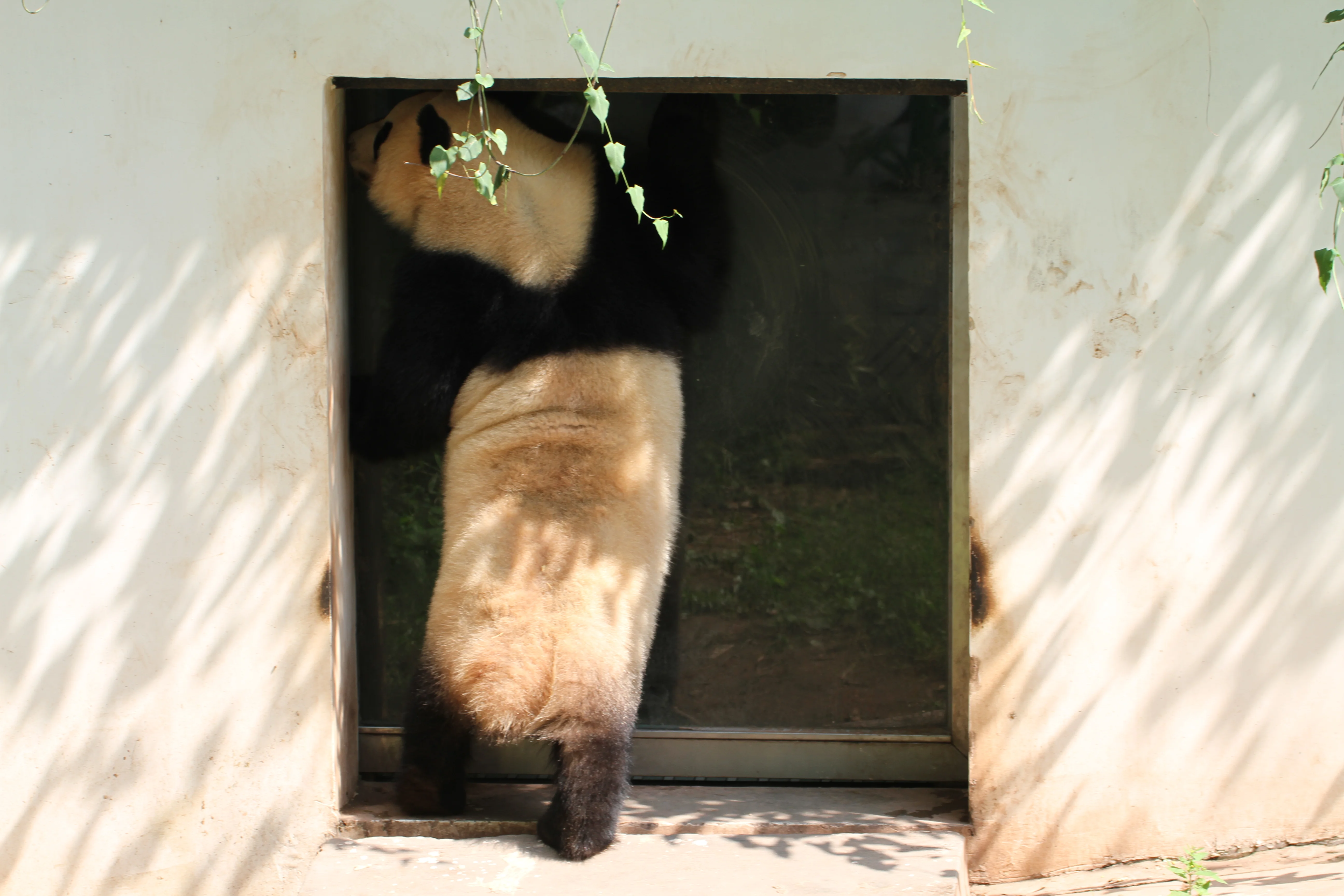 Guangzhou Zoo