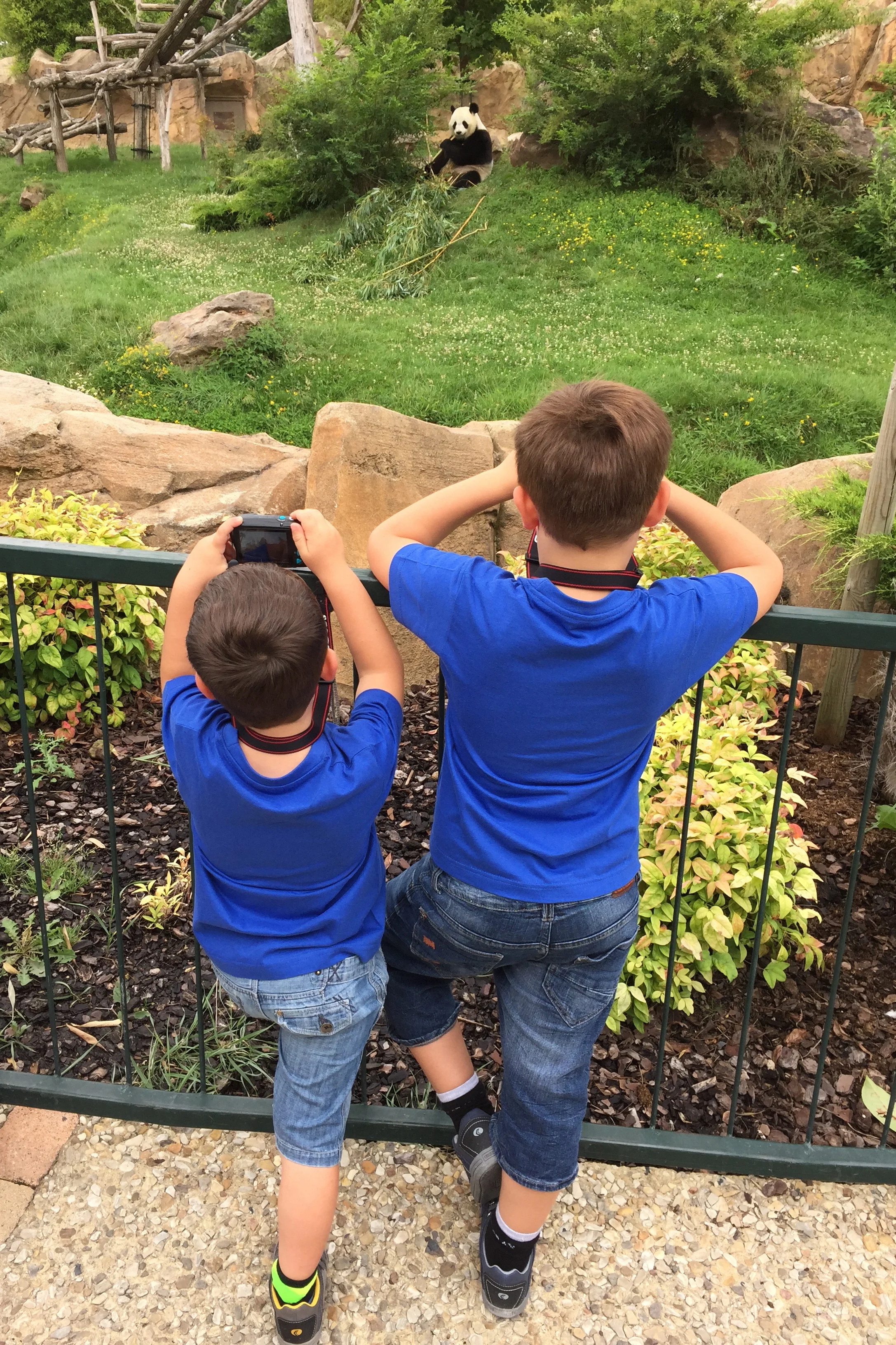 ZooParc de Beauval