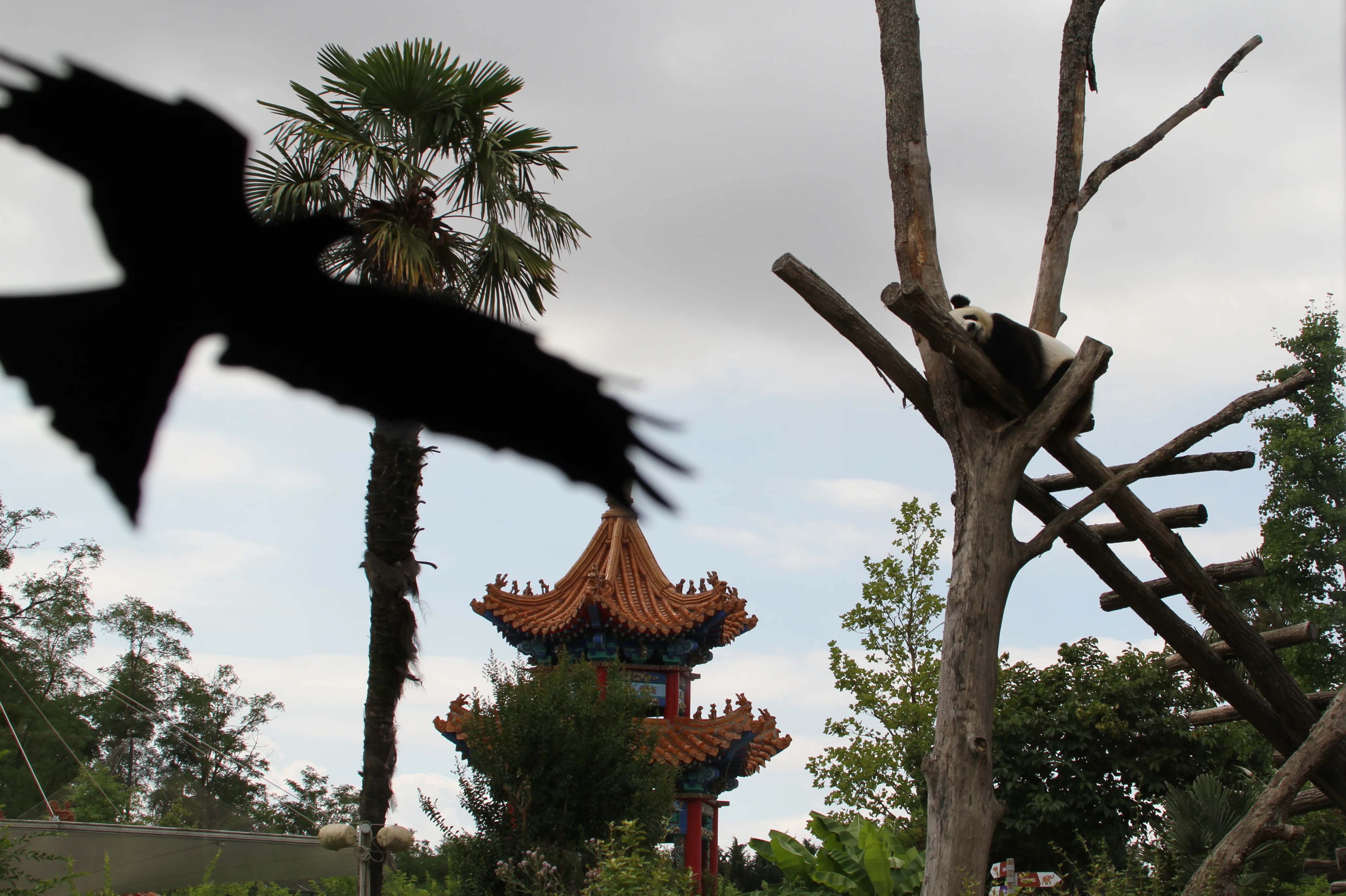 ZooParc de Beauval