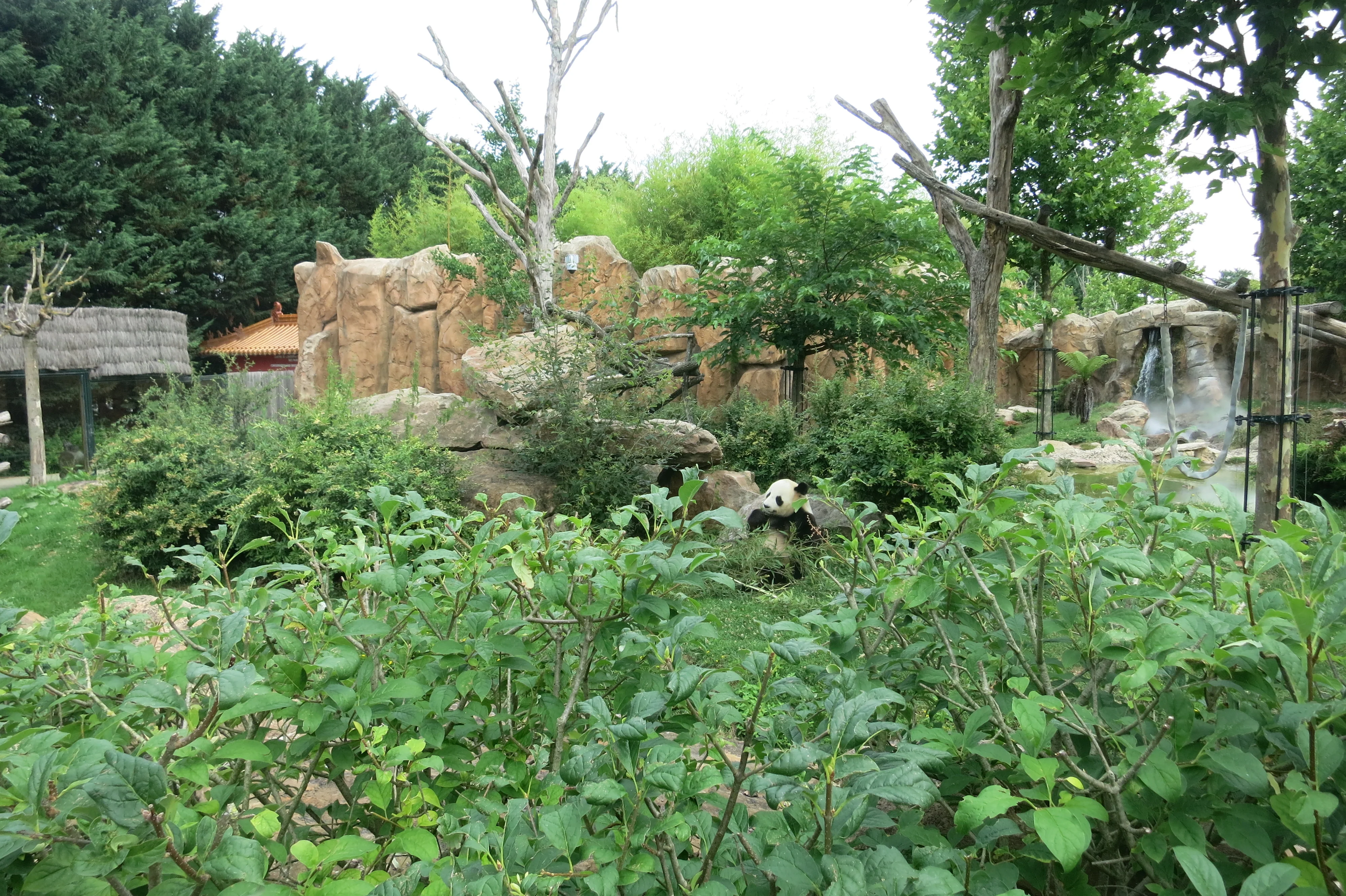 ZooParc de Beauval