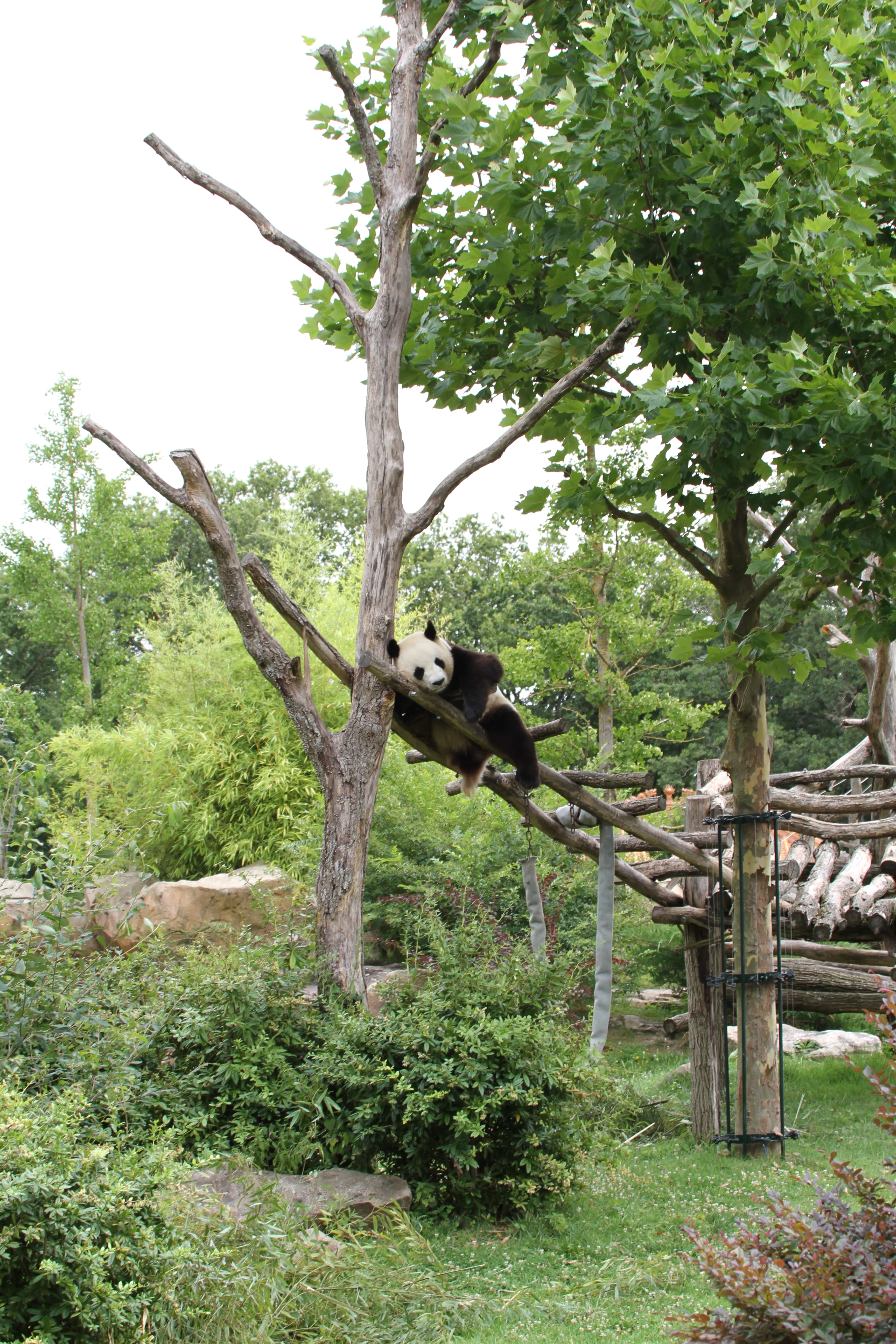 ZooParc de Beauval