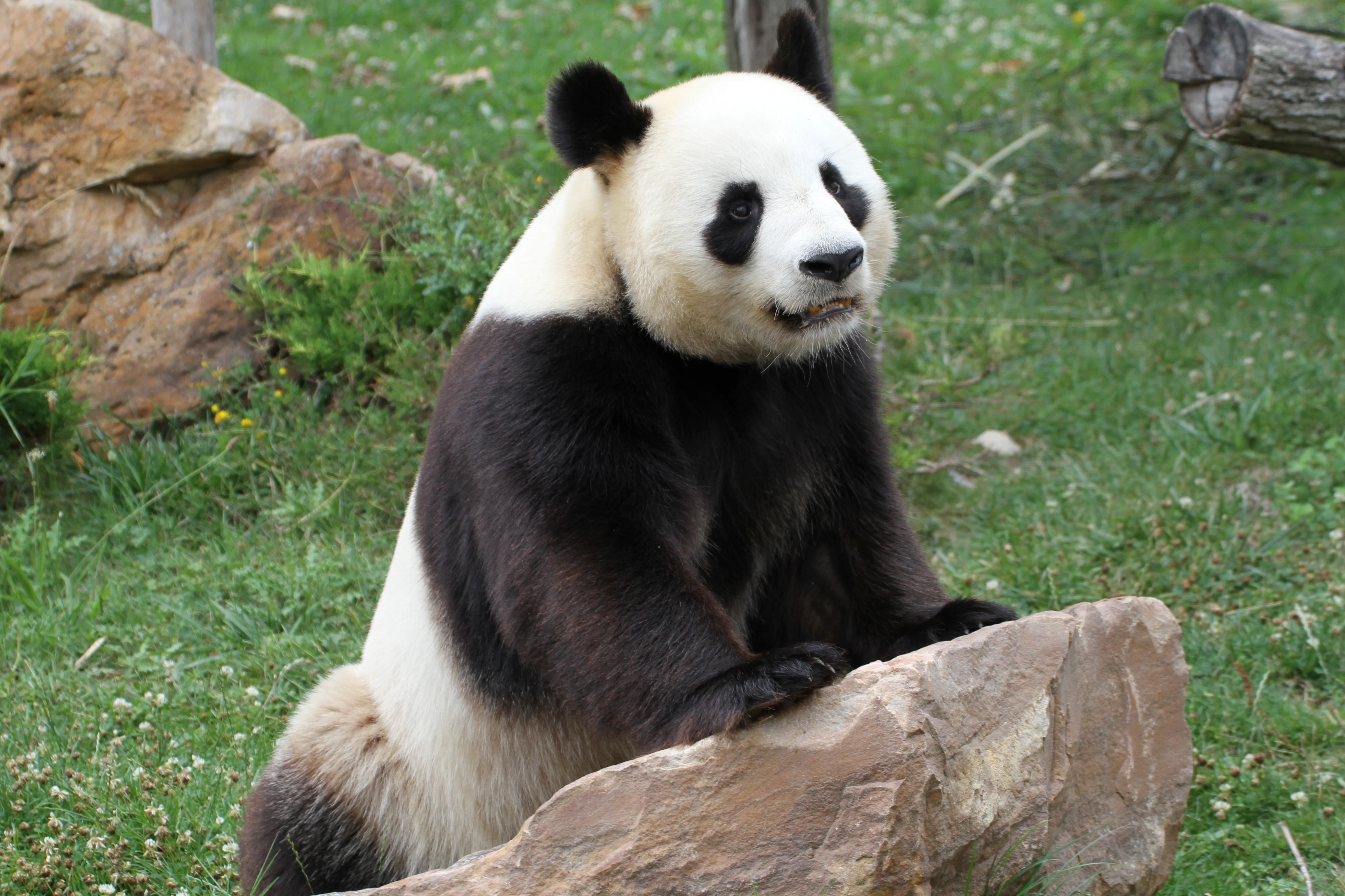 ZooParc de Beauval