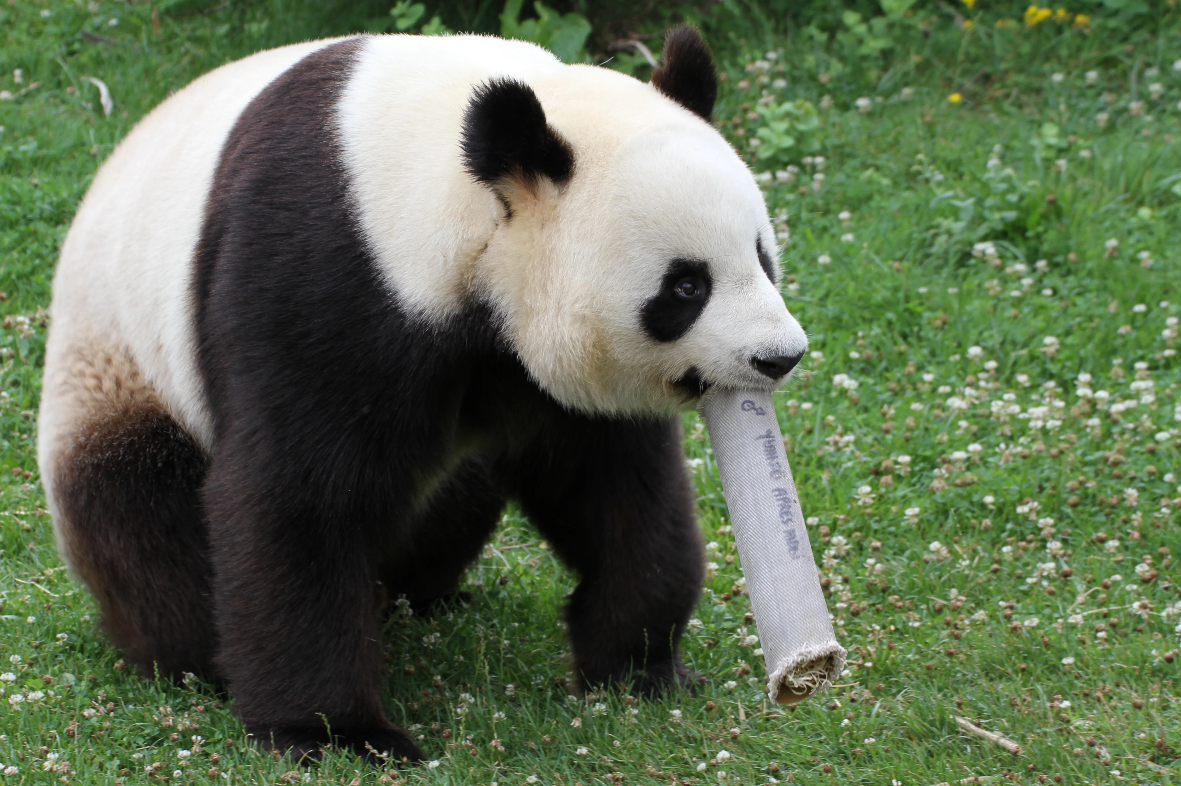 ZooParc de Beauval