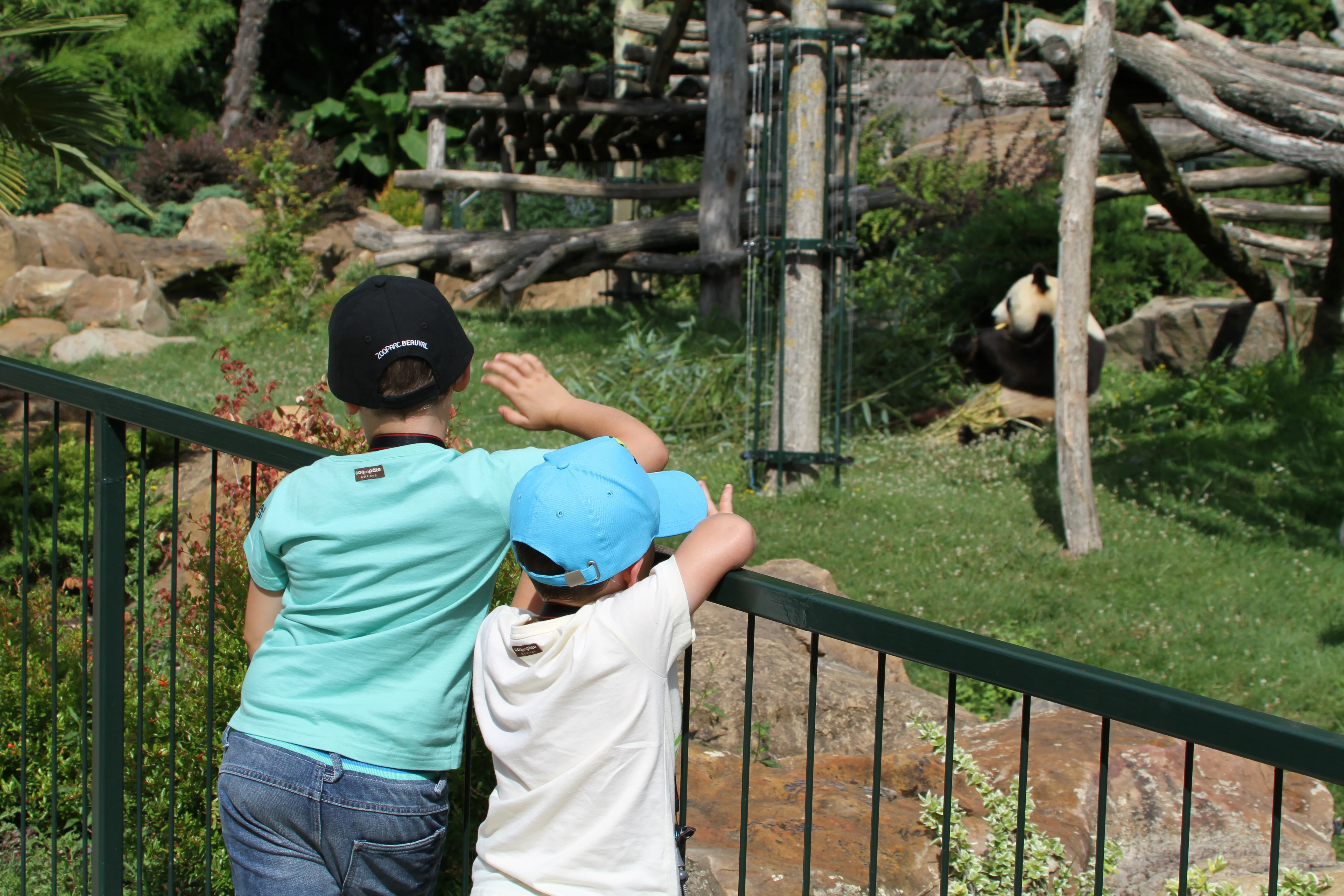 ZooParc de Beauval