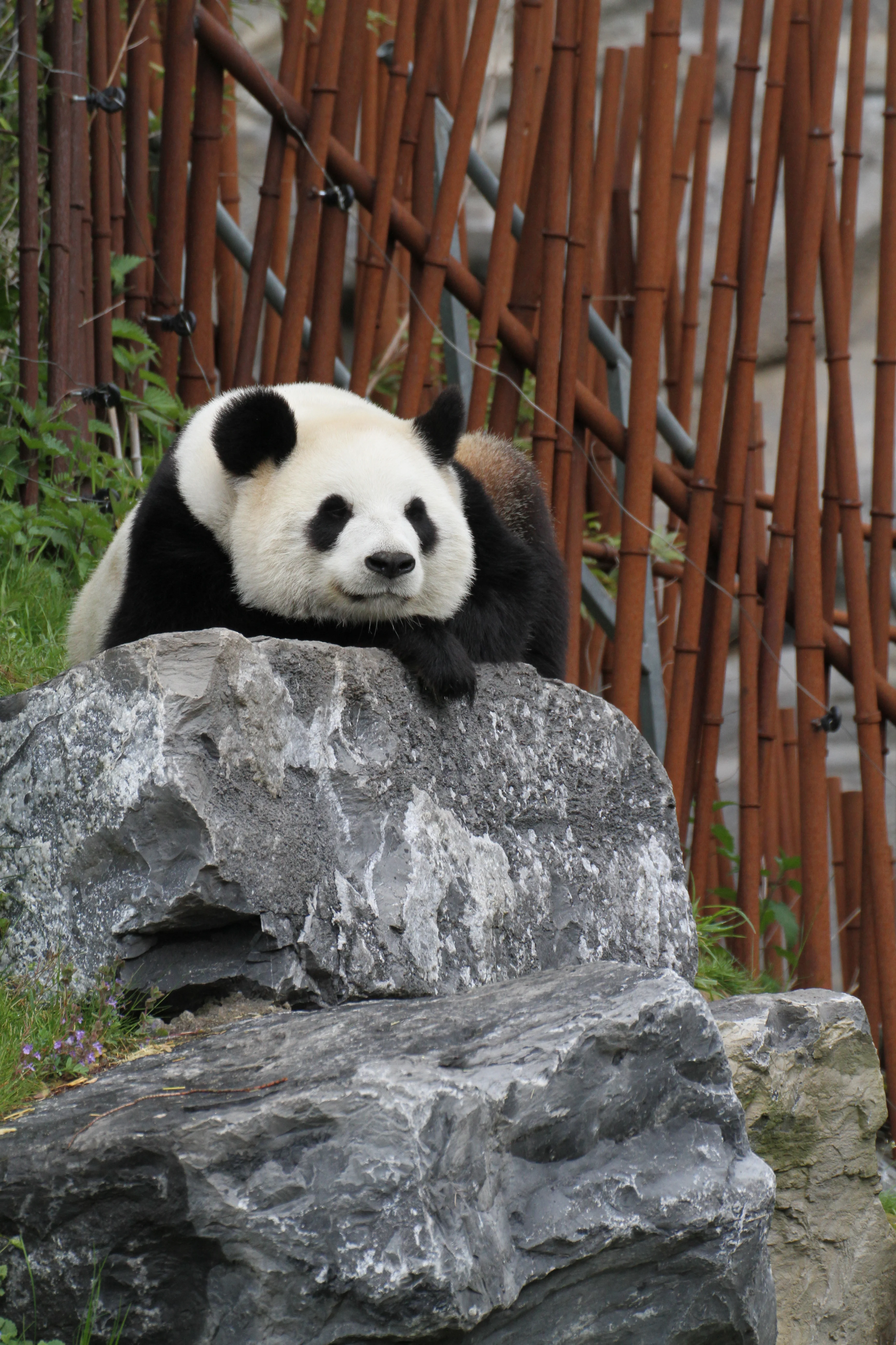 Pairi Daiza