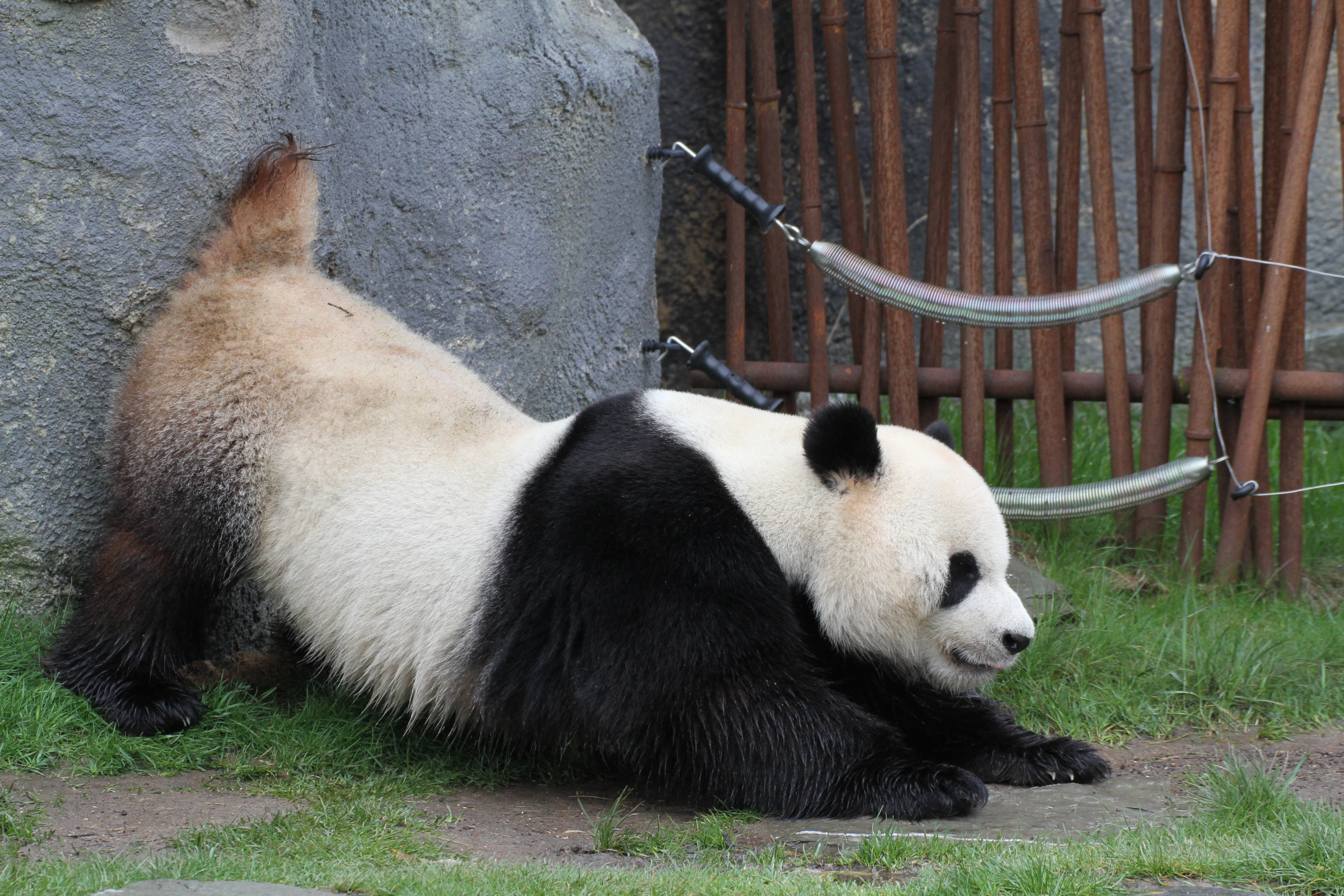 Pairi Daiza