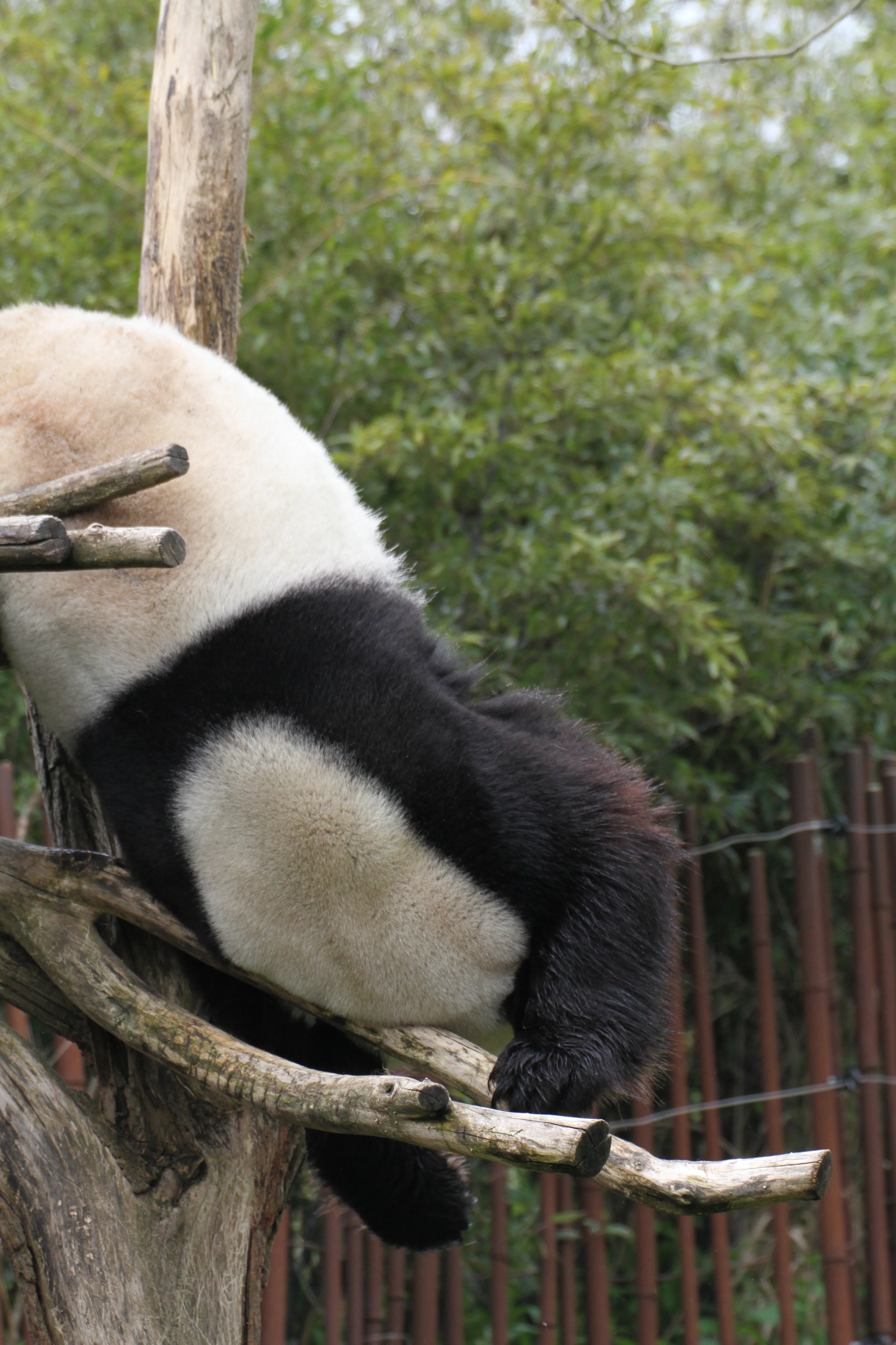 Pairi Daiza