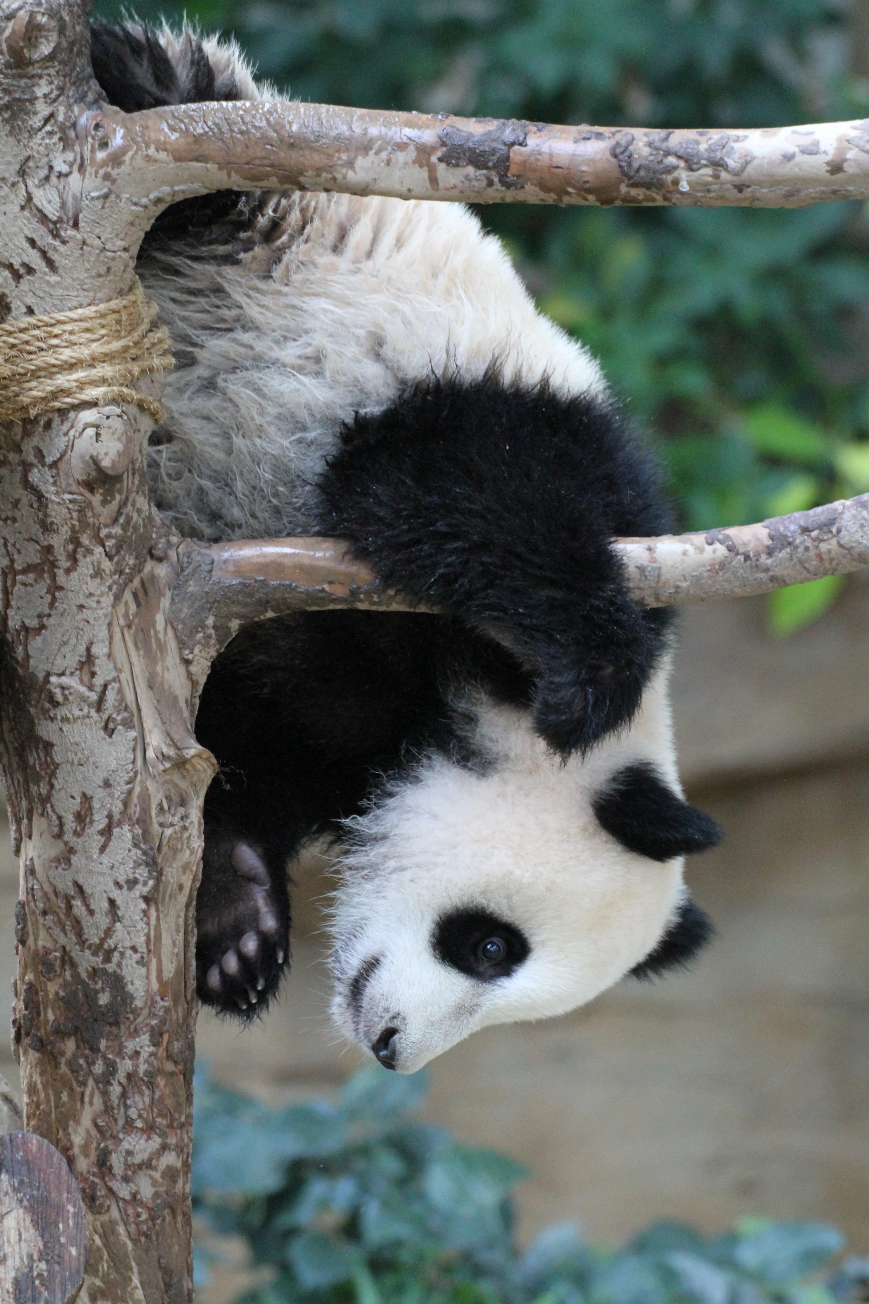 Zoo Negara Malaysia