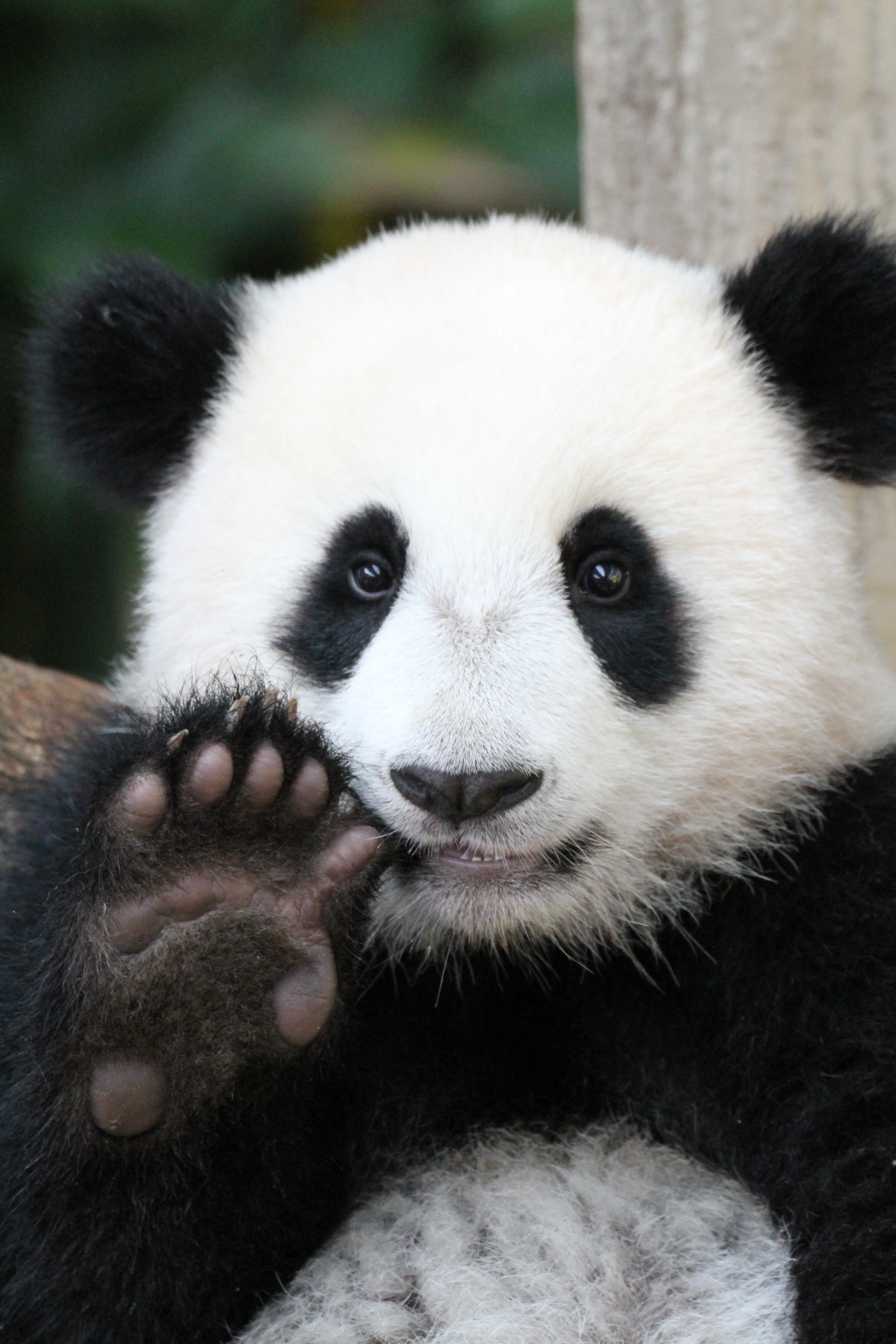 Zoo Negara Malaysia